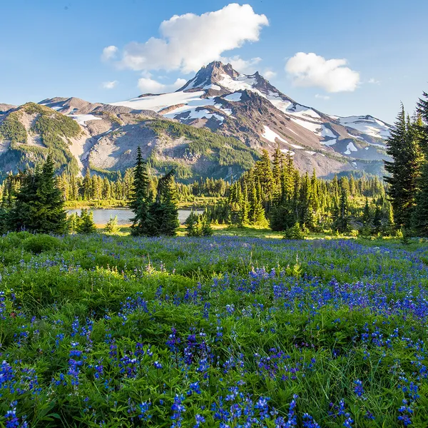 The 10 Best Campsites near Portland, OR
