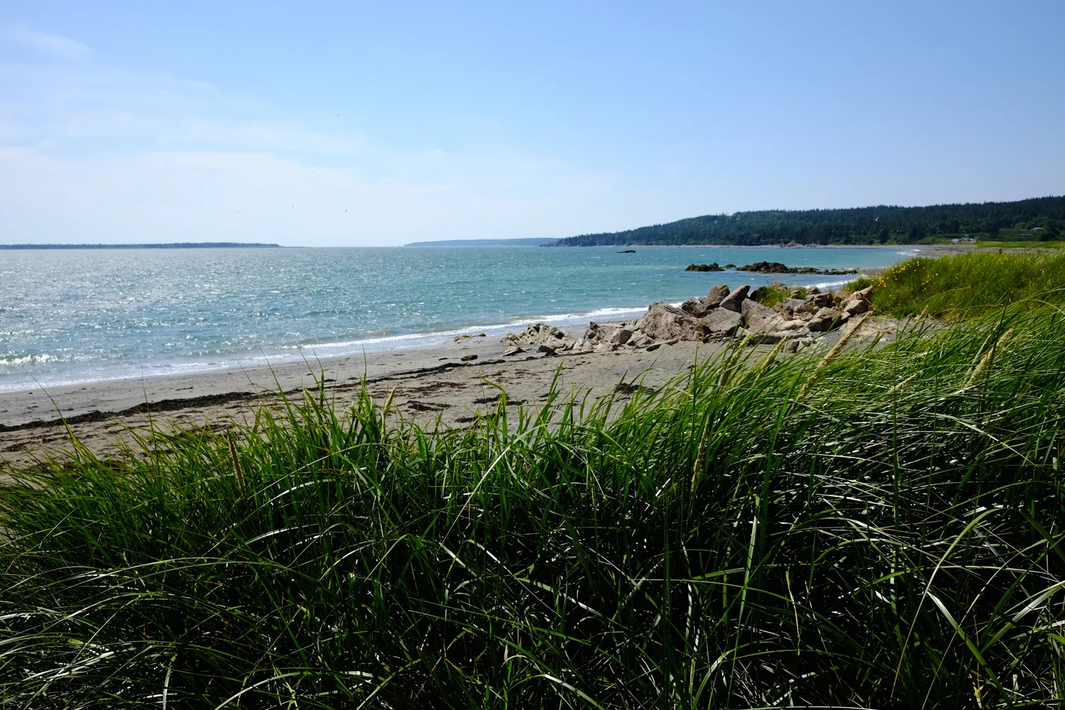 Explore the Anchorage Provincial Park's beach in Grand Manan