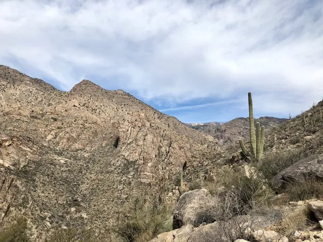 Hutch's Pool via Sabino Canyon Trailhead