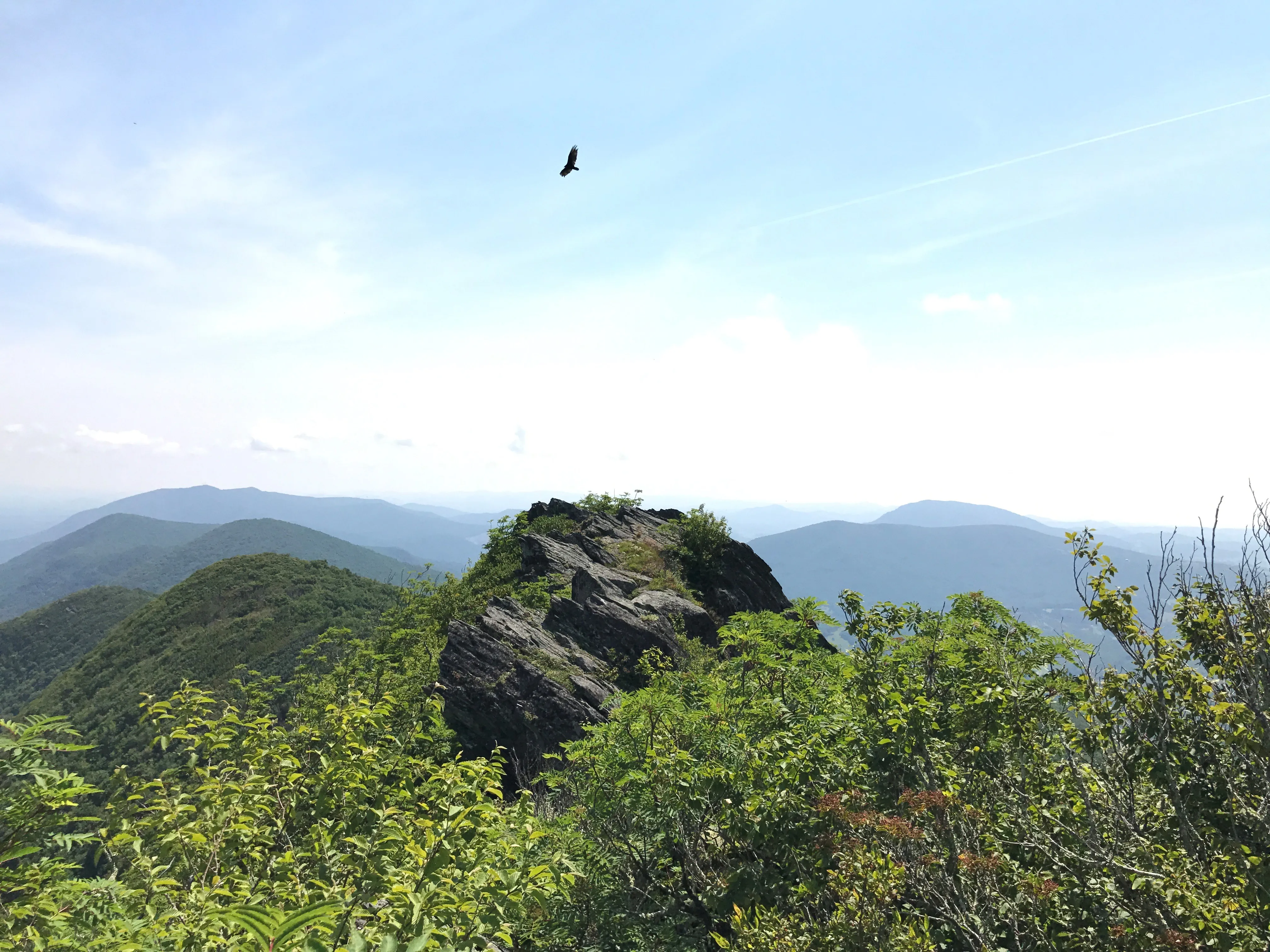 Three Top Mountain