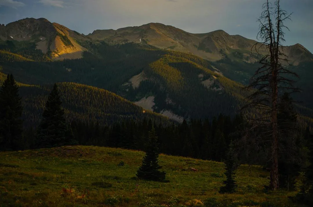 Camp at Kebler Pass