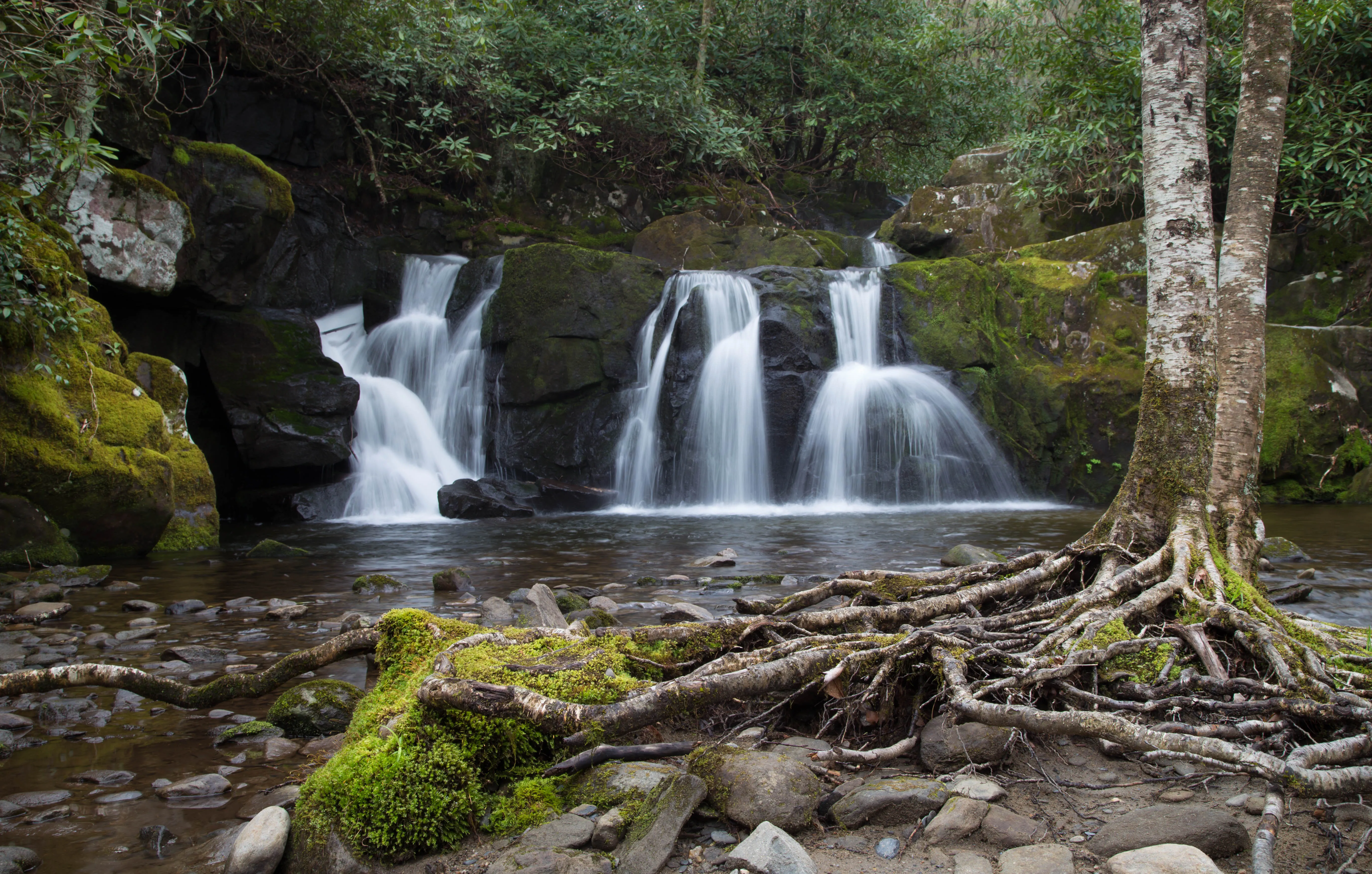 Hike to Indian Flat Falls via Middle Prong Trail