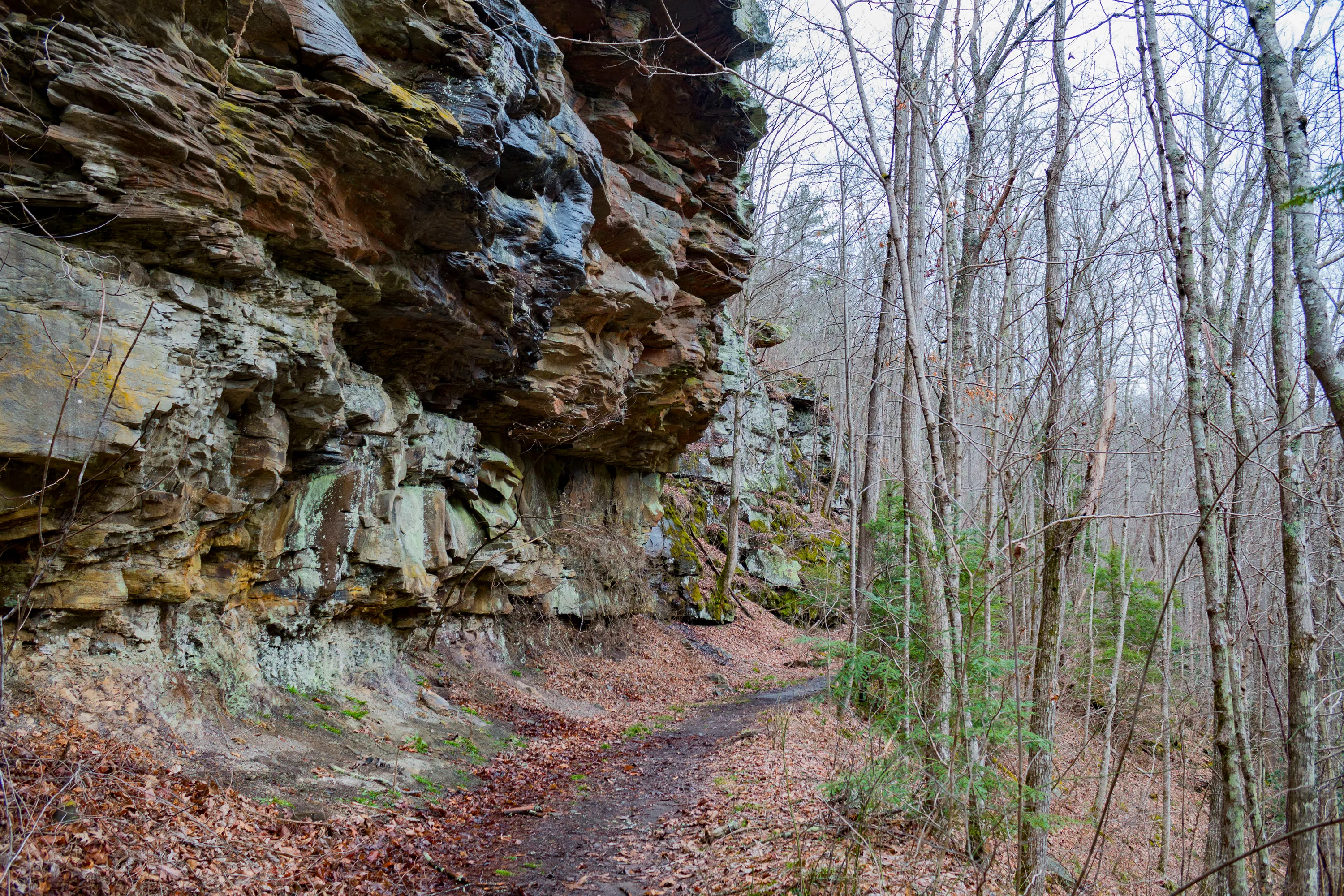 White Oak Falls via Brush Creek Falls Trail