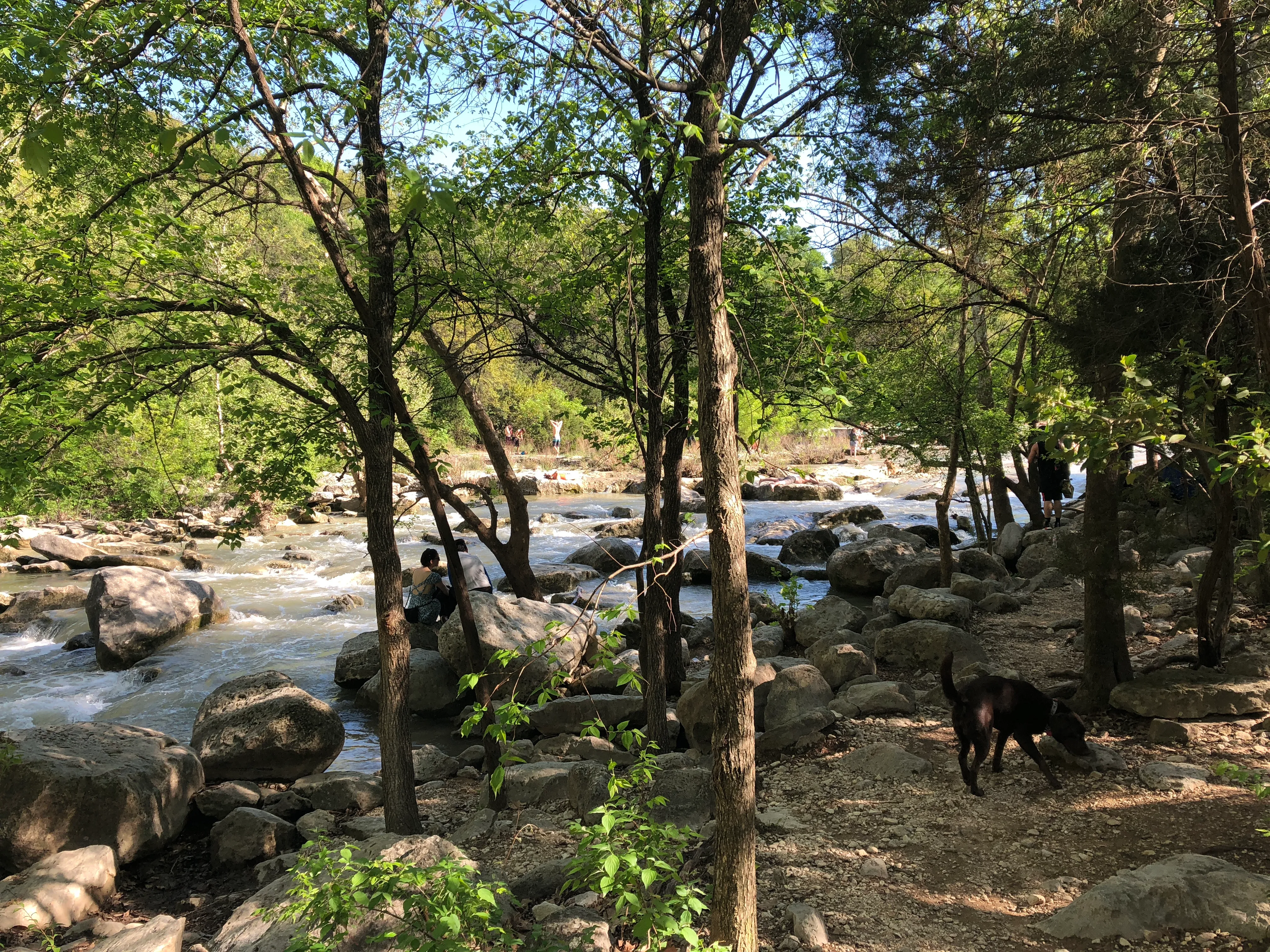 Barton Creek Greenbelt Trail via Spyglass Trailhead