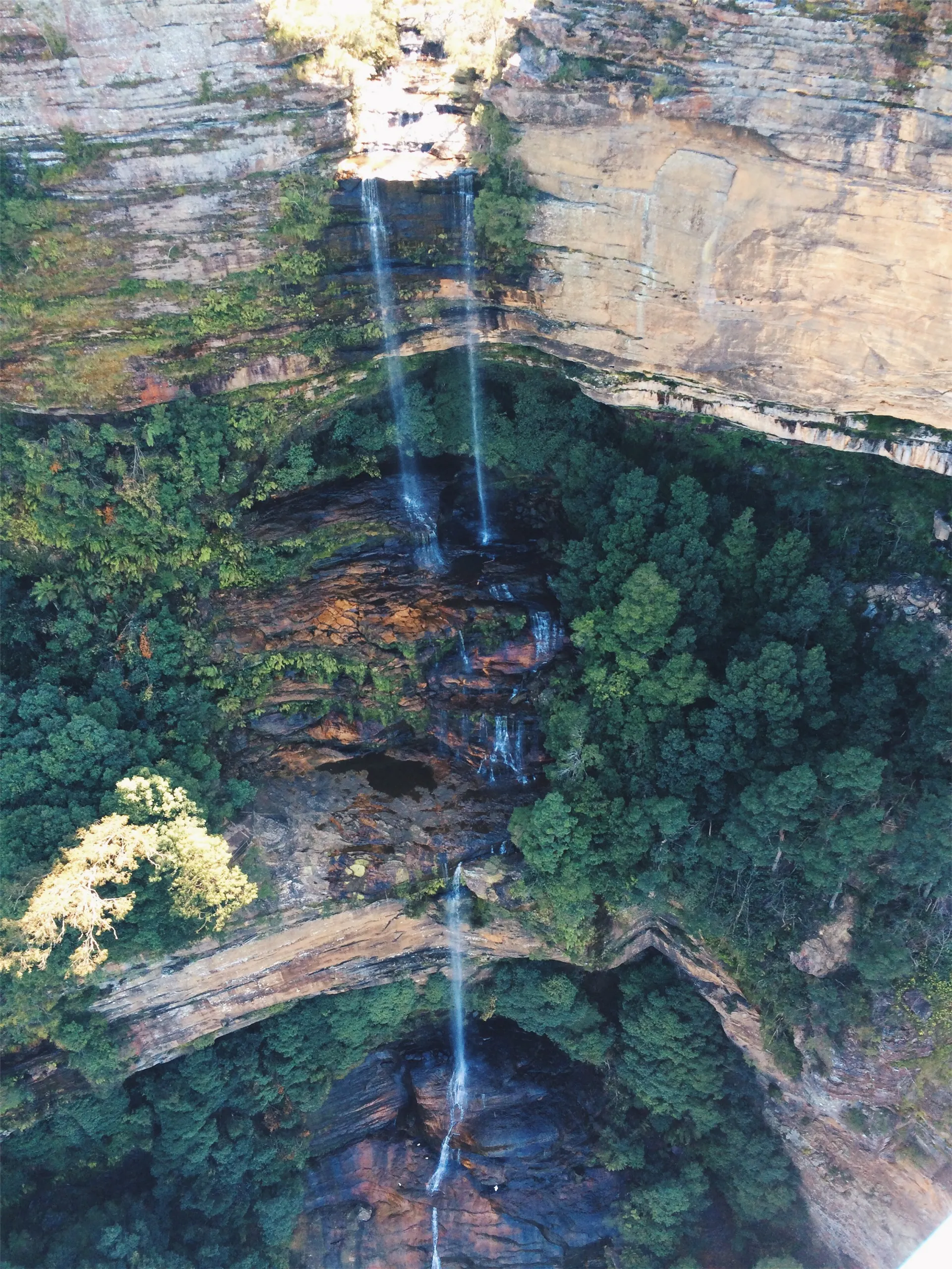 Explore Scenic World