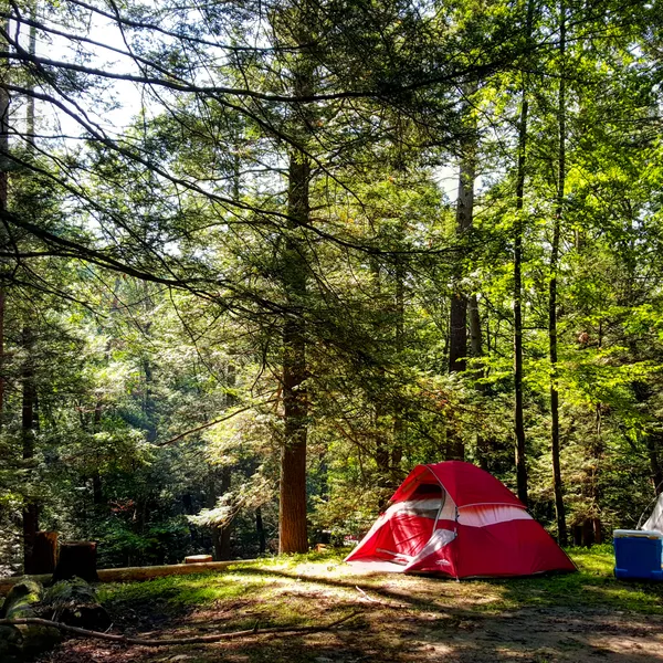 New York's Top 10 Camping Adventures
