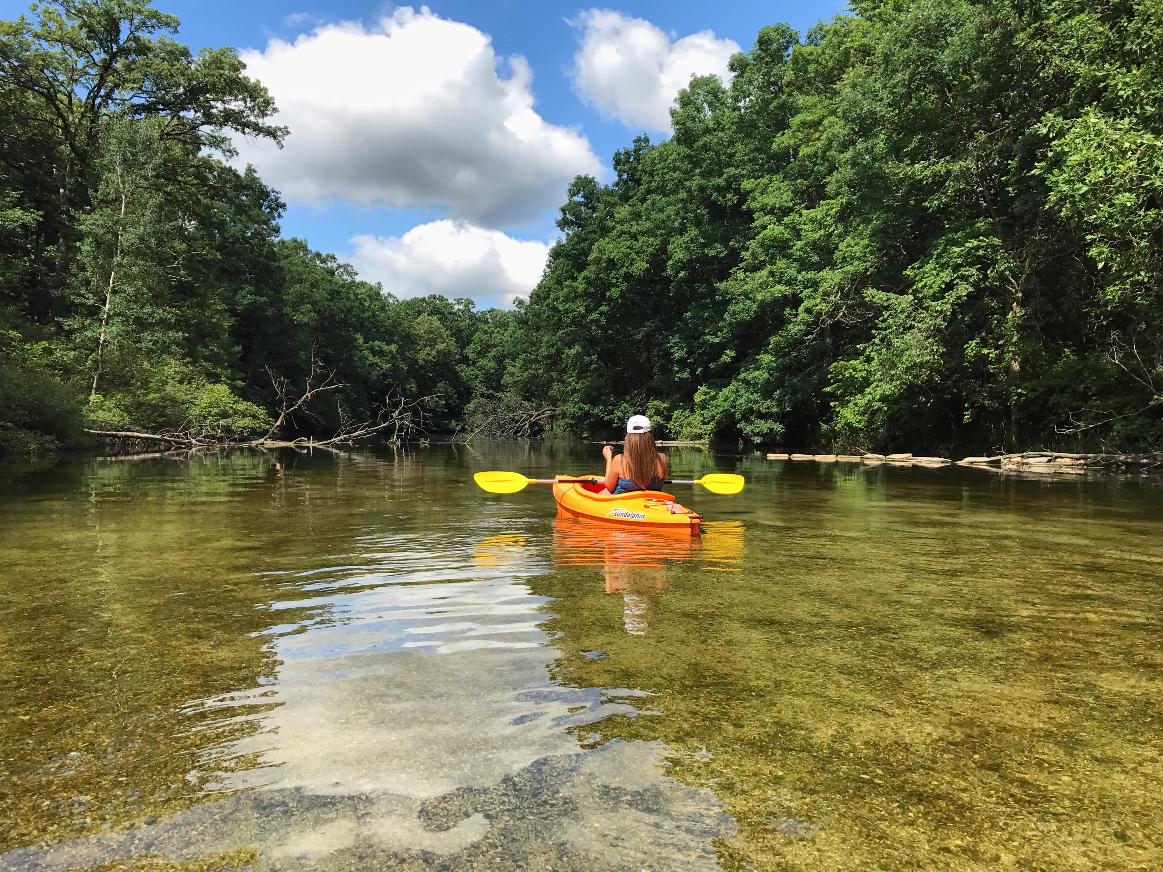 Paddle the Huron River in the Island Lake Recreation Area