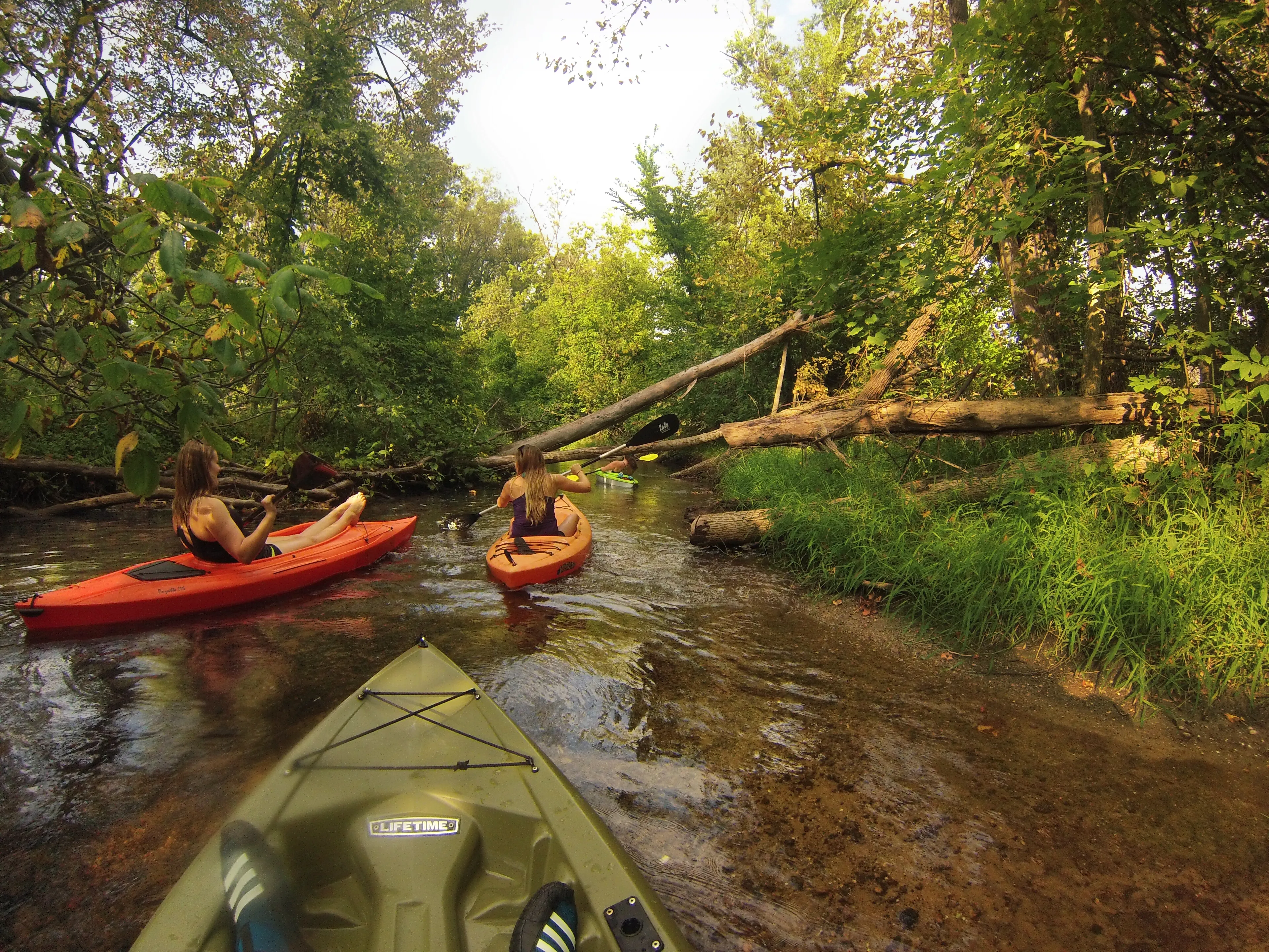 Paddle the Shiawassee Heritage Water Trail