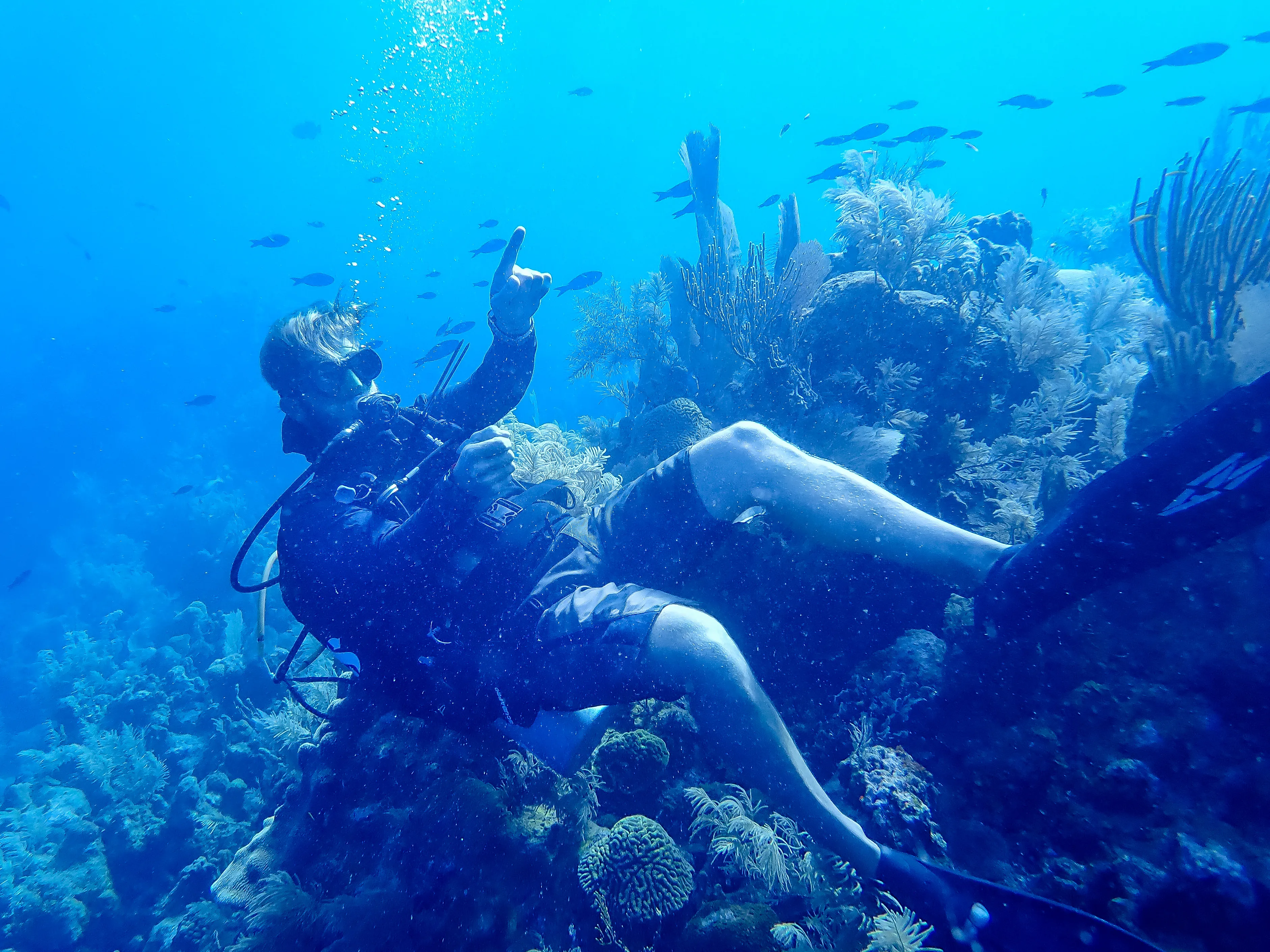 Dive the West End Wall