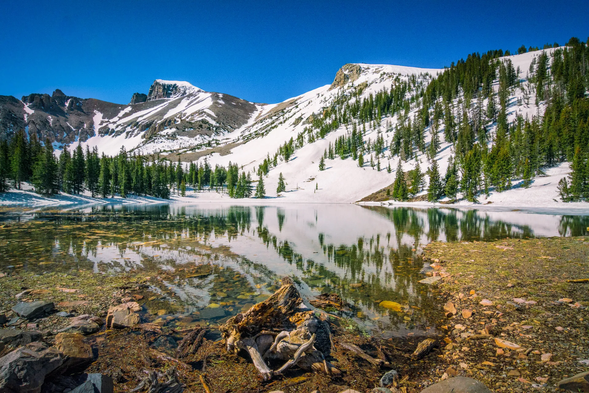 Alpine Lakes Loop in Great Basin NP