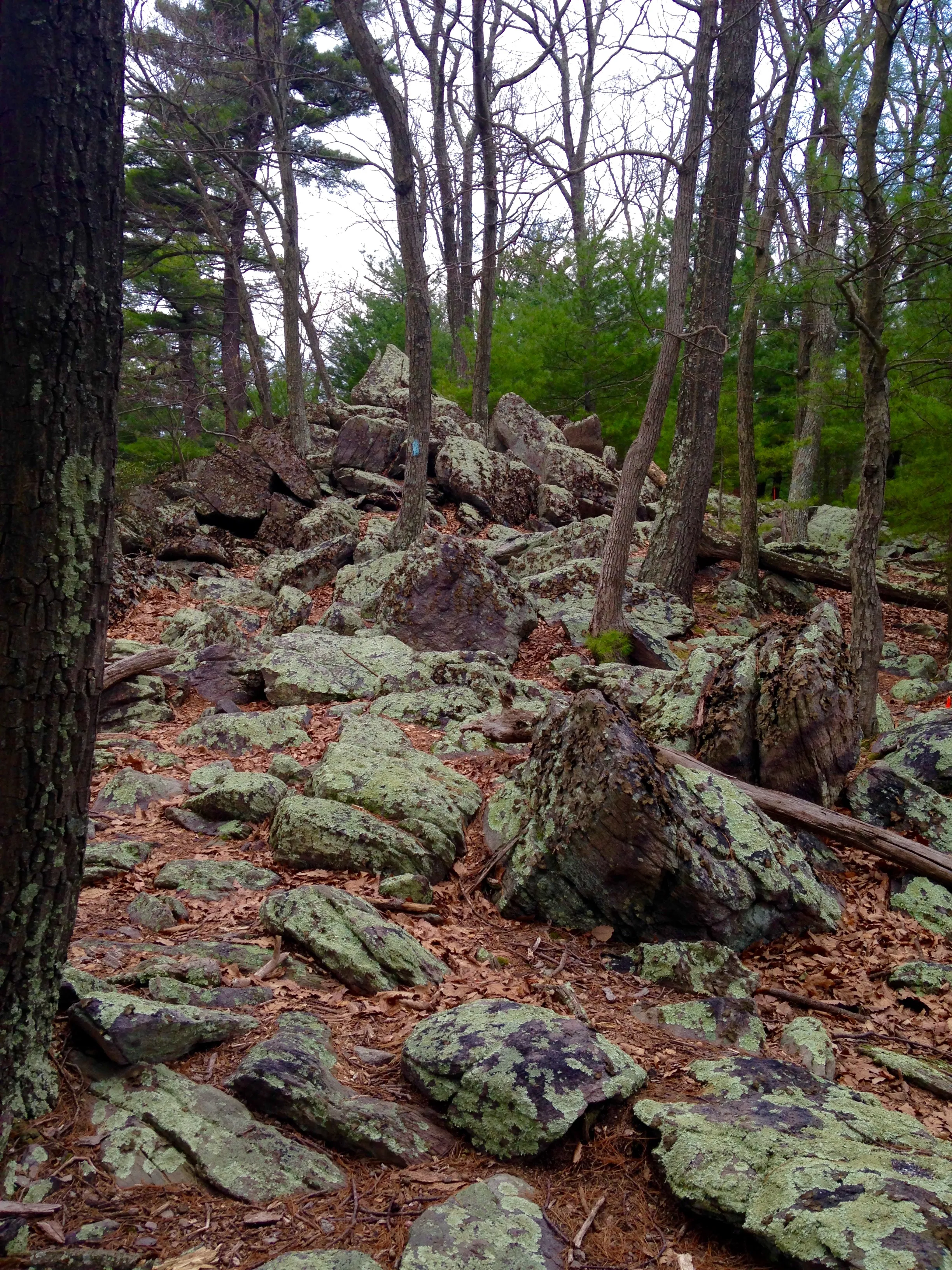 Hike to Sunset Rocks in Michaux State Forest 