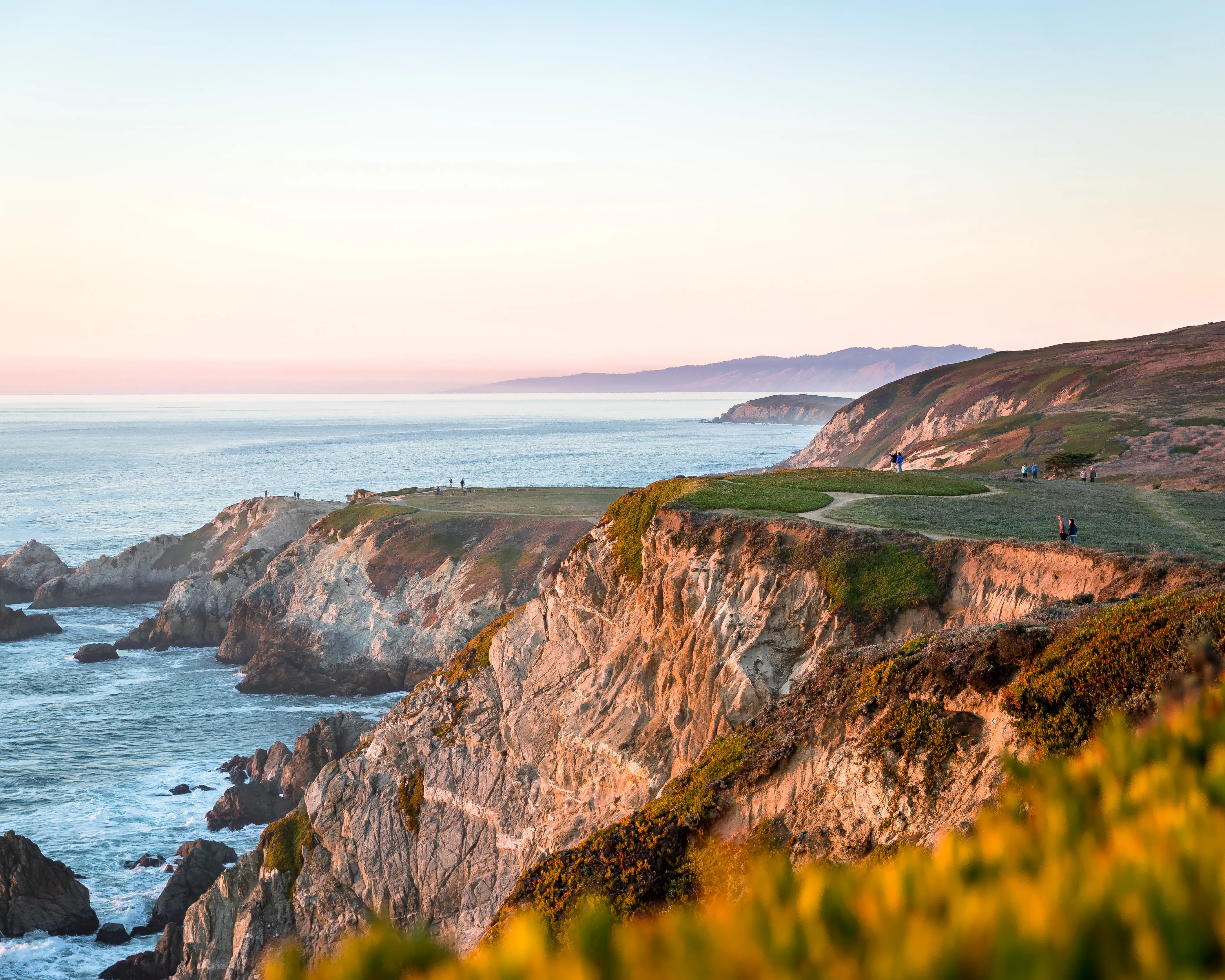 Bodega Head Nature Trail