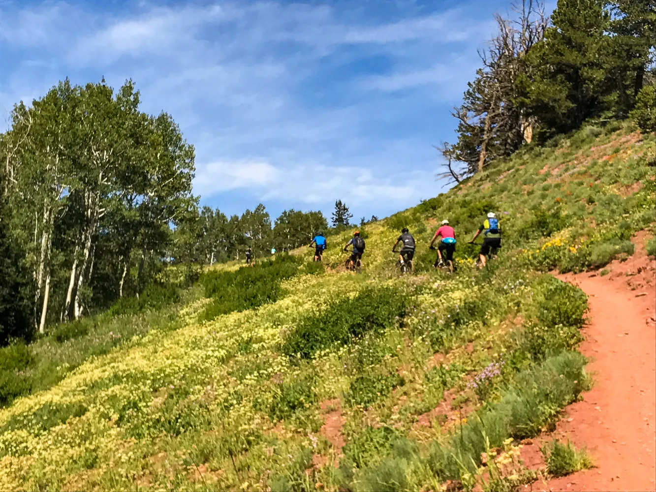 Mountain Bike the Wasatch Crest Trail