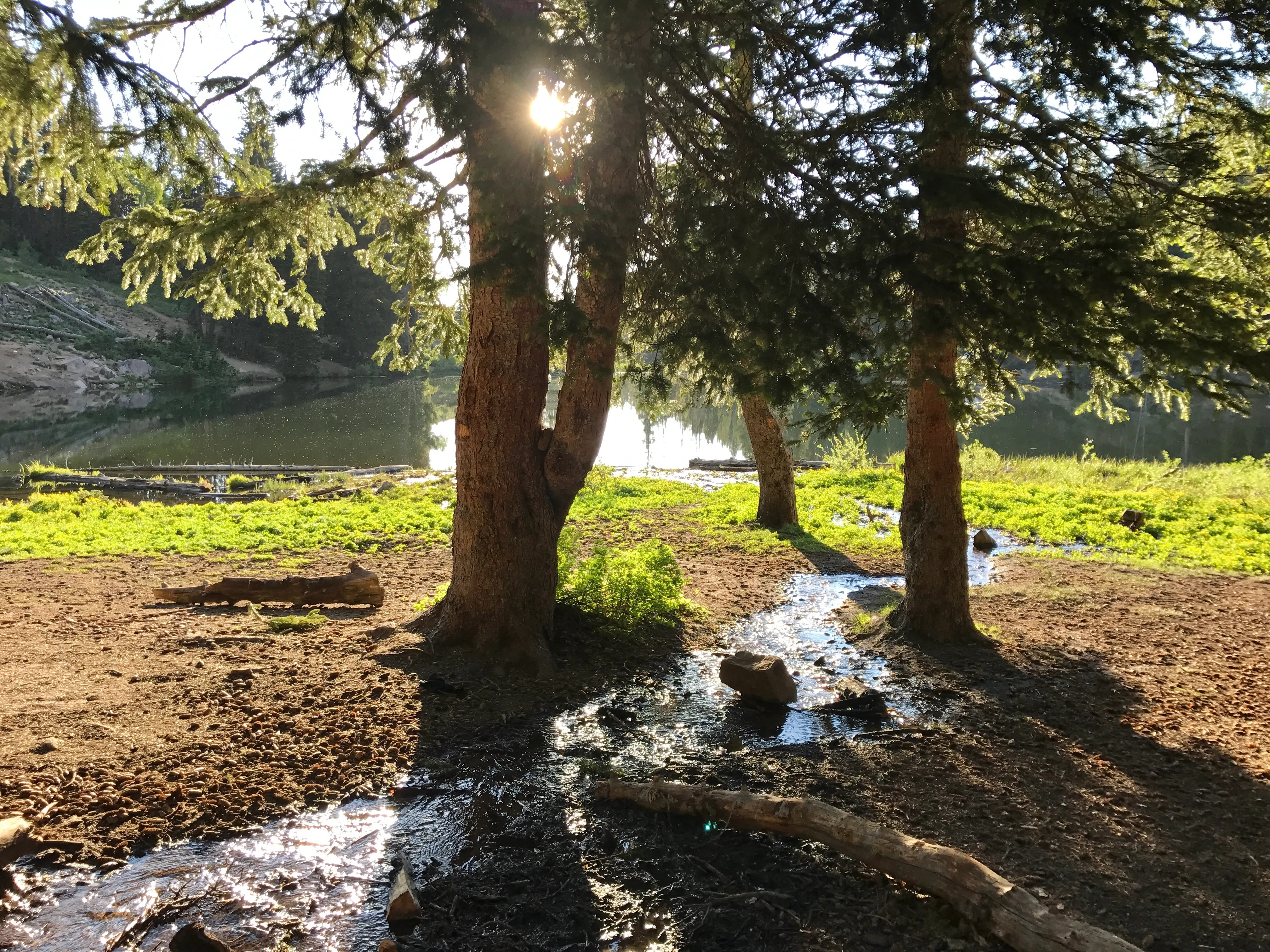 Trail to Bloods and Lackawaxen Lakes