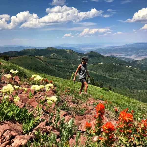 8 Bucket List Summer Adventures in Park City, Utah