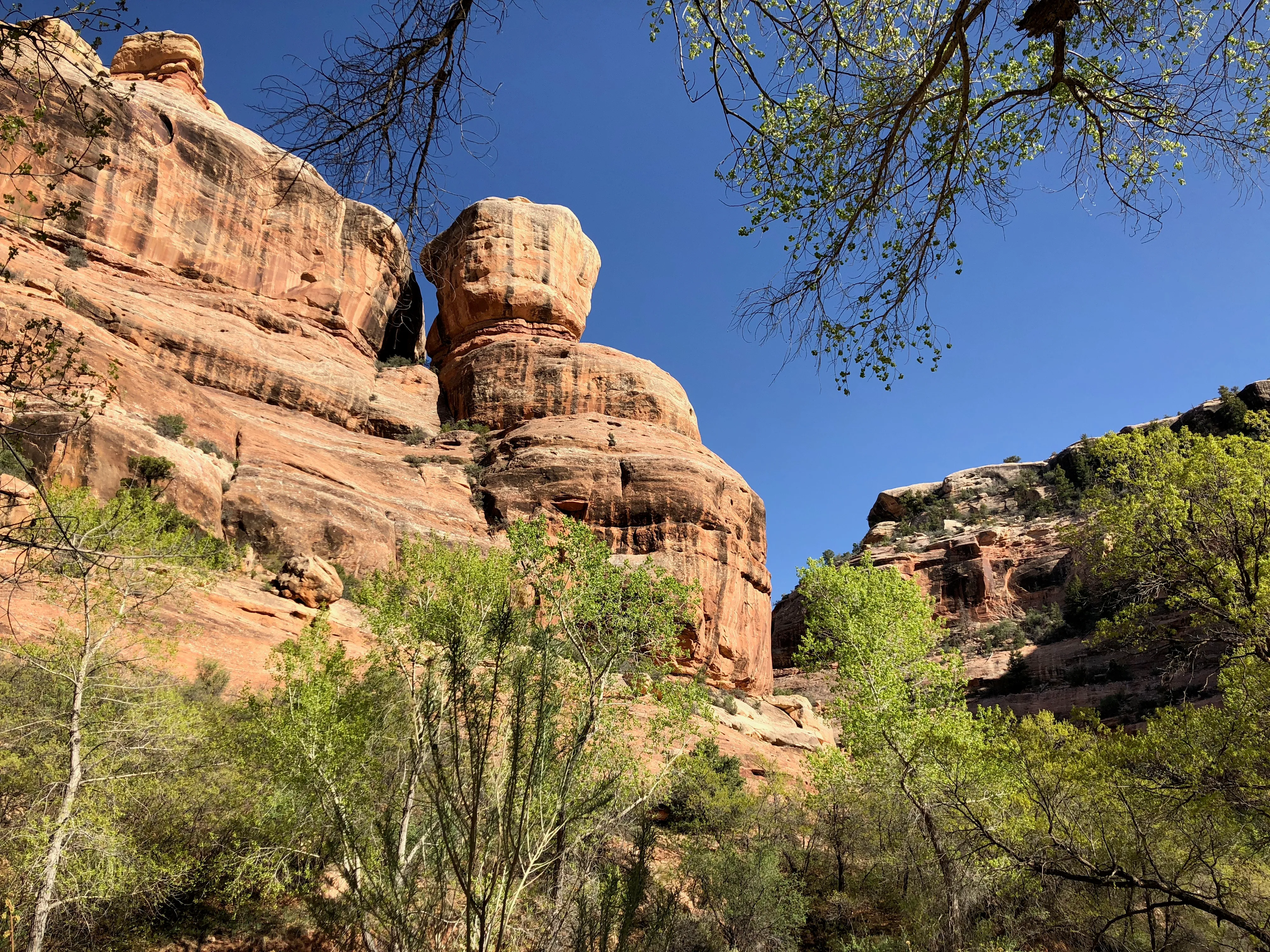 Backpack Grand Gulch