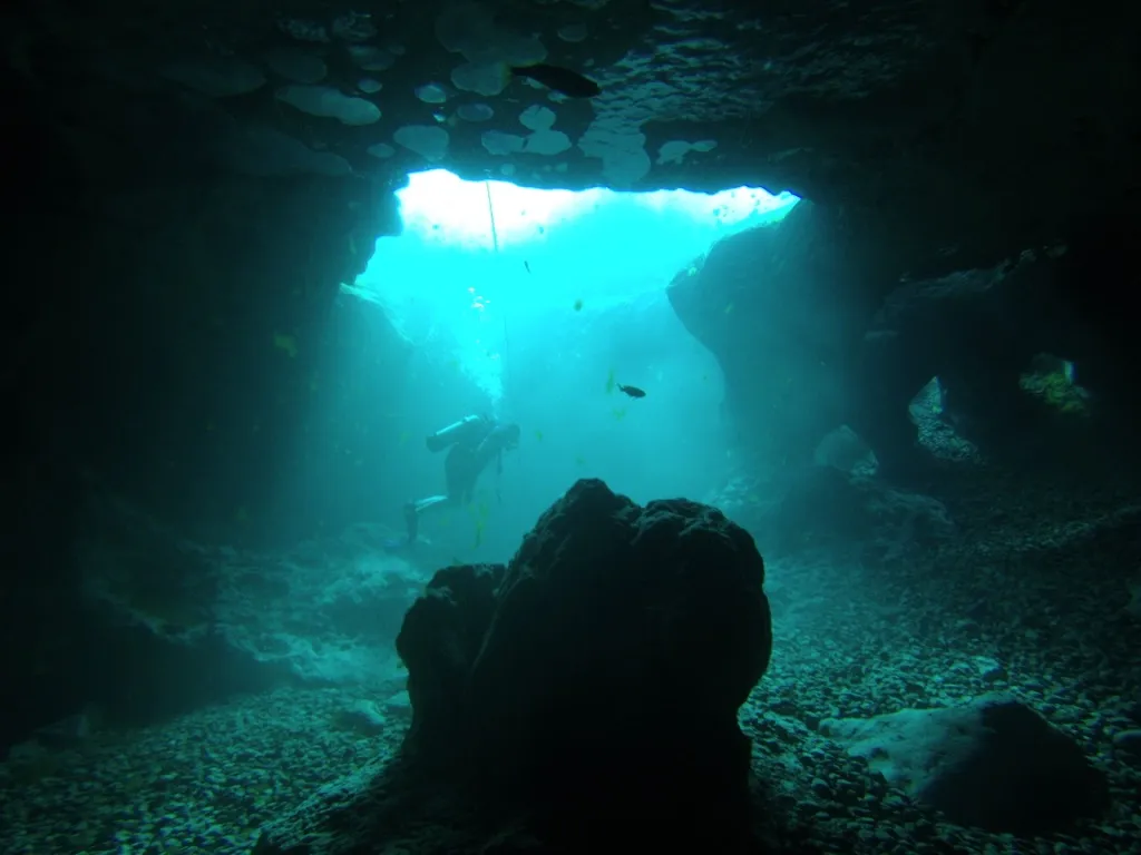 Snorkel & Dive at Vortex Spring