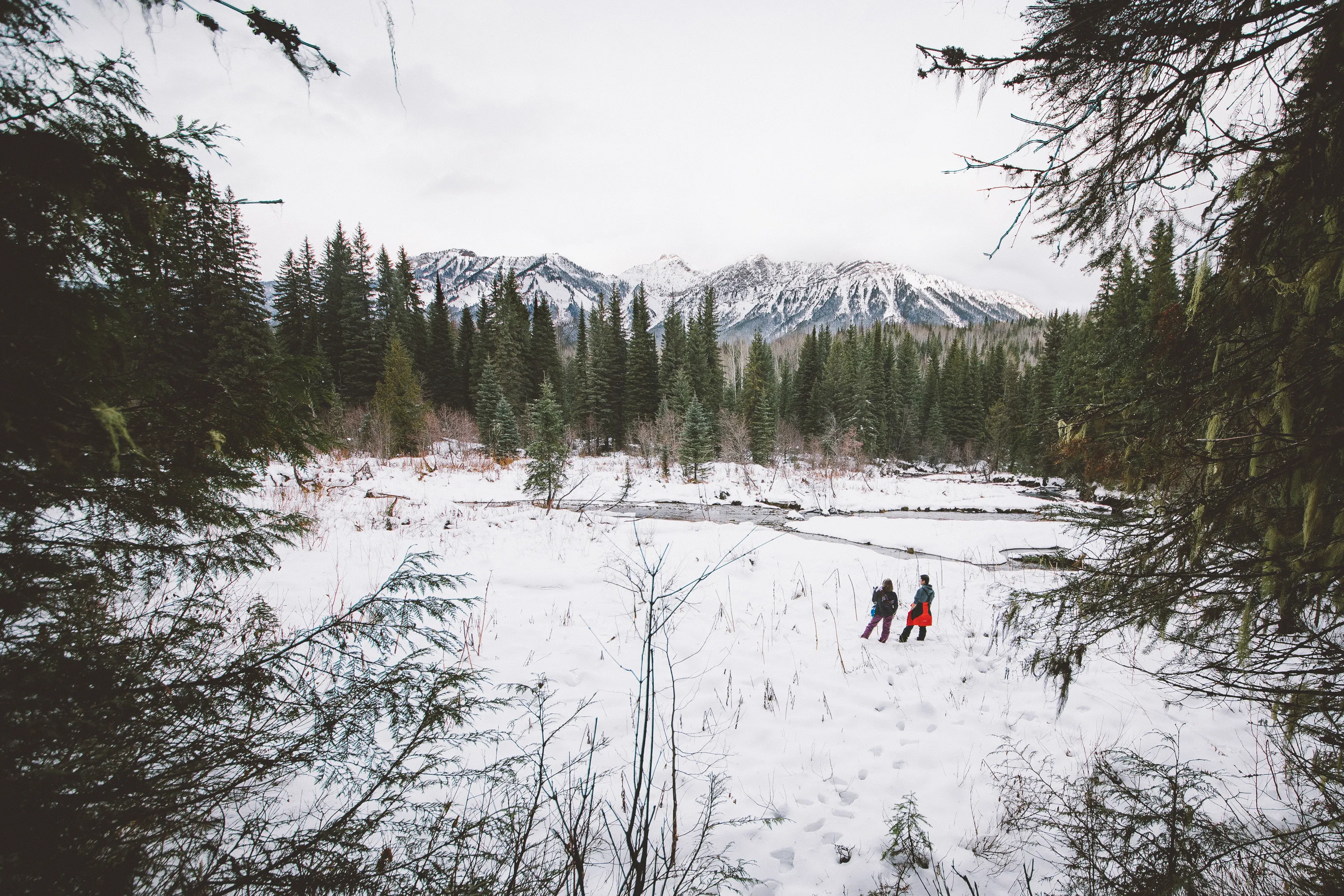 Hike through Mount Fernie Provincial Park