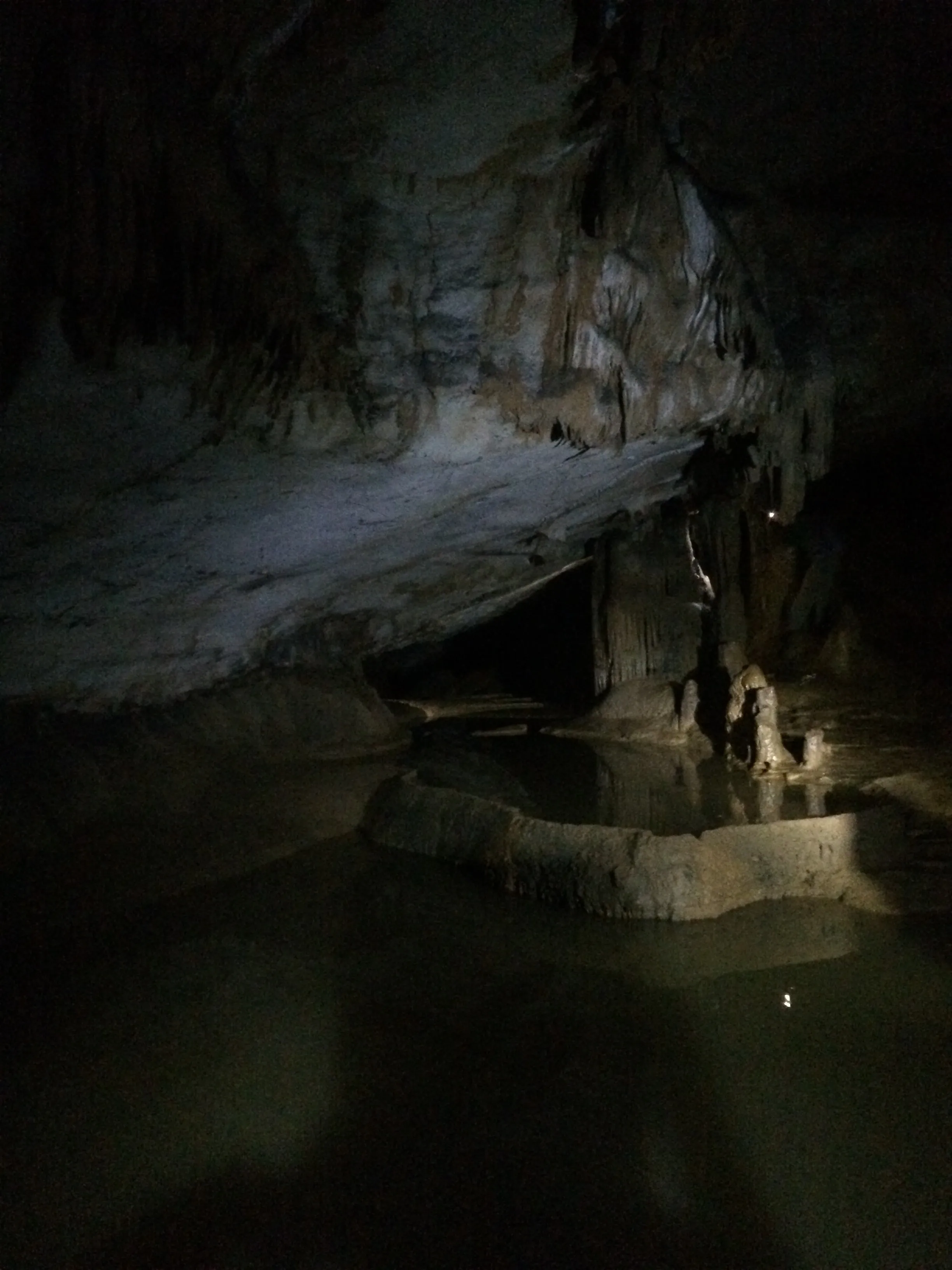 Spelunk Worley's Cave