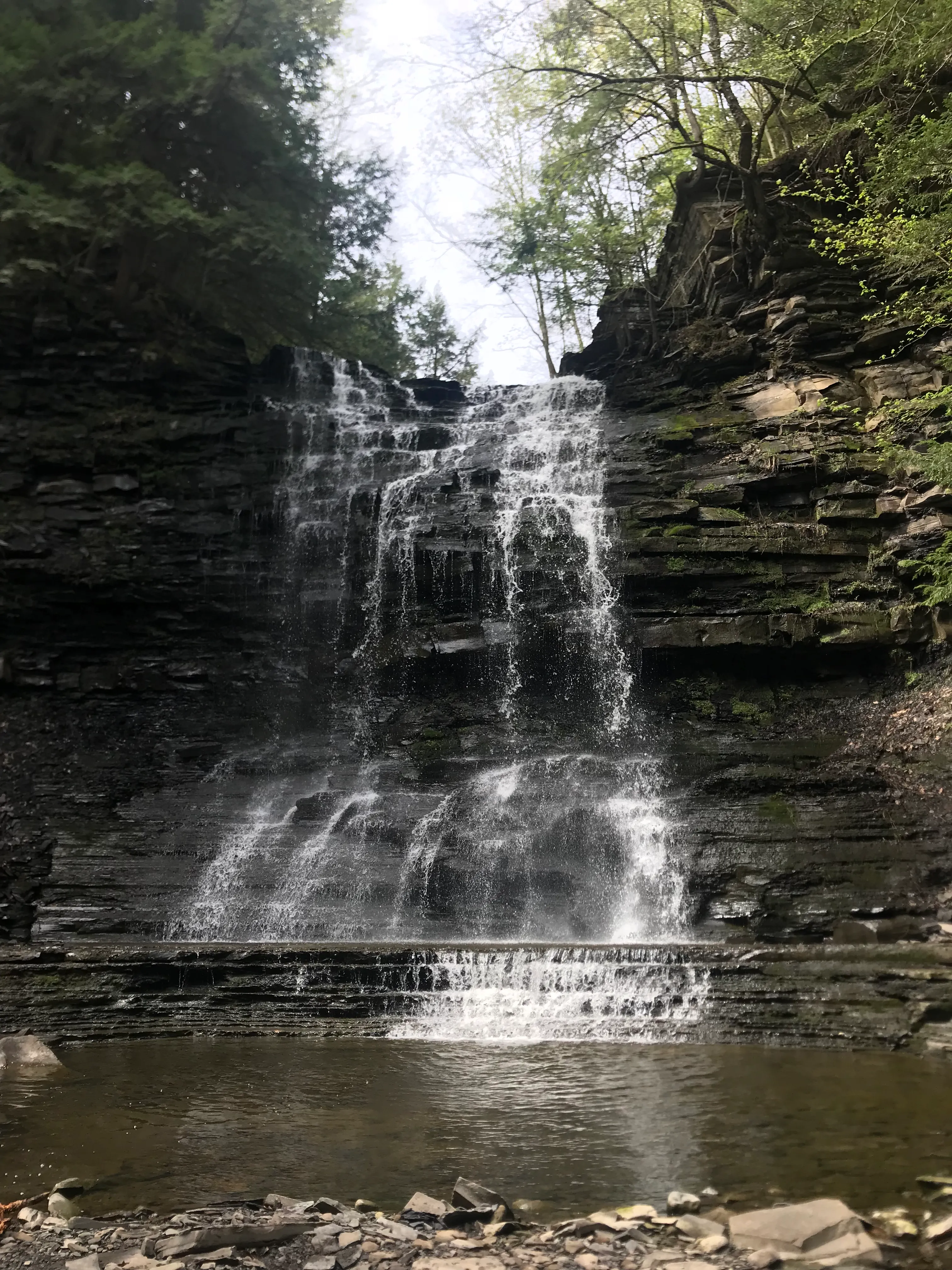 Plotter Kill Preserve Loop