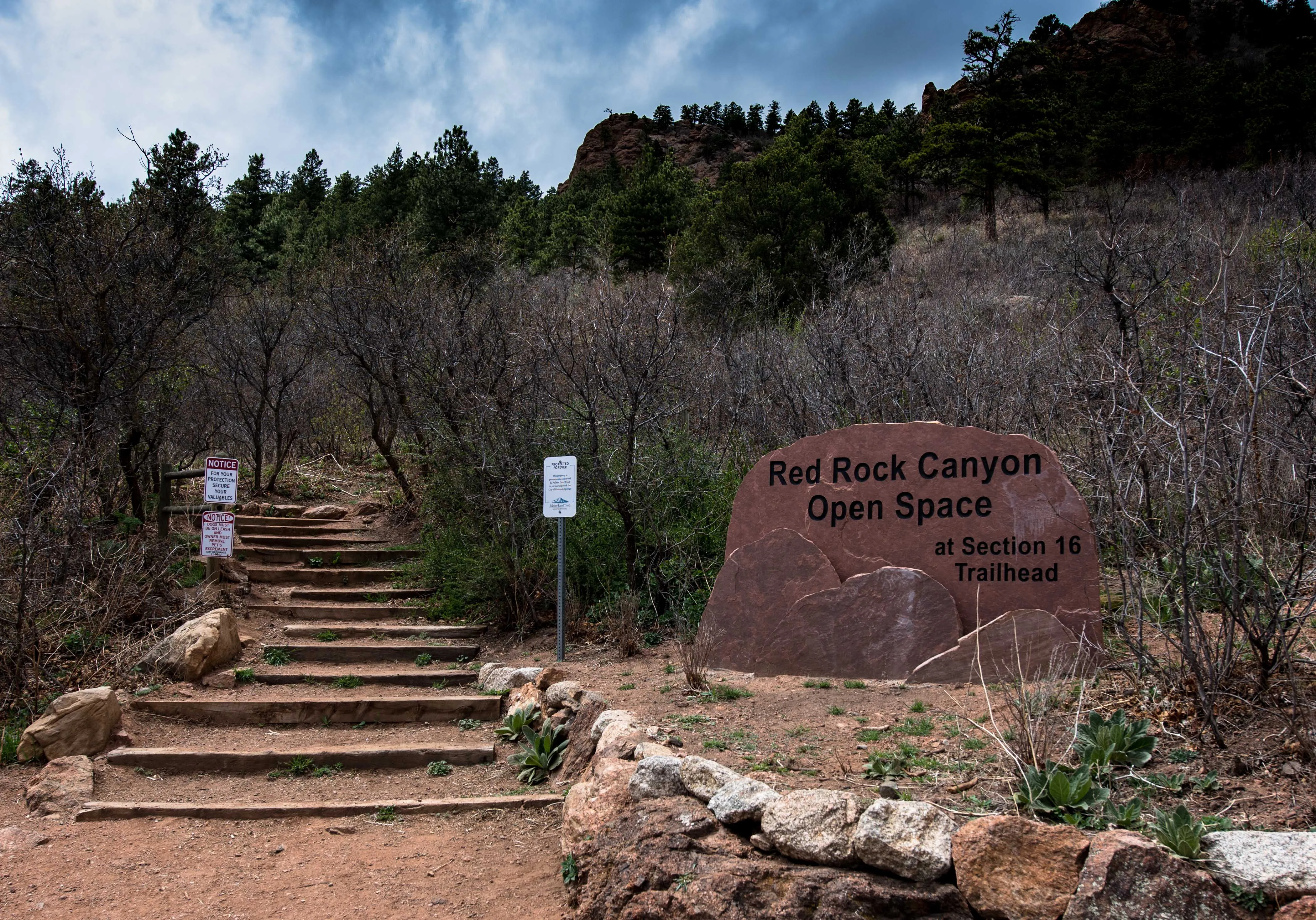 Hike Palmer Trail Loop at Section 16