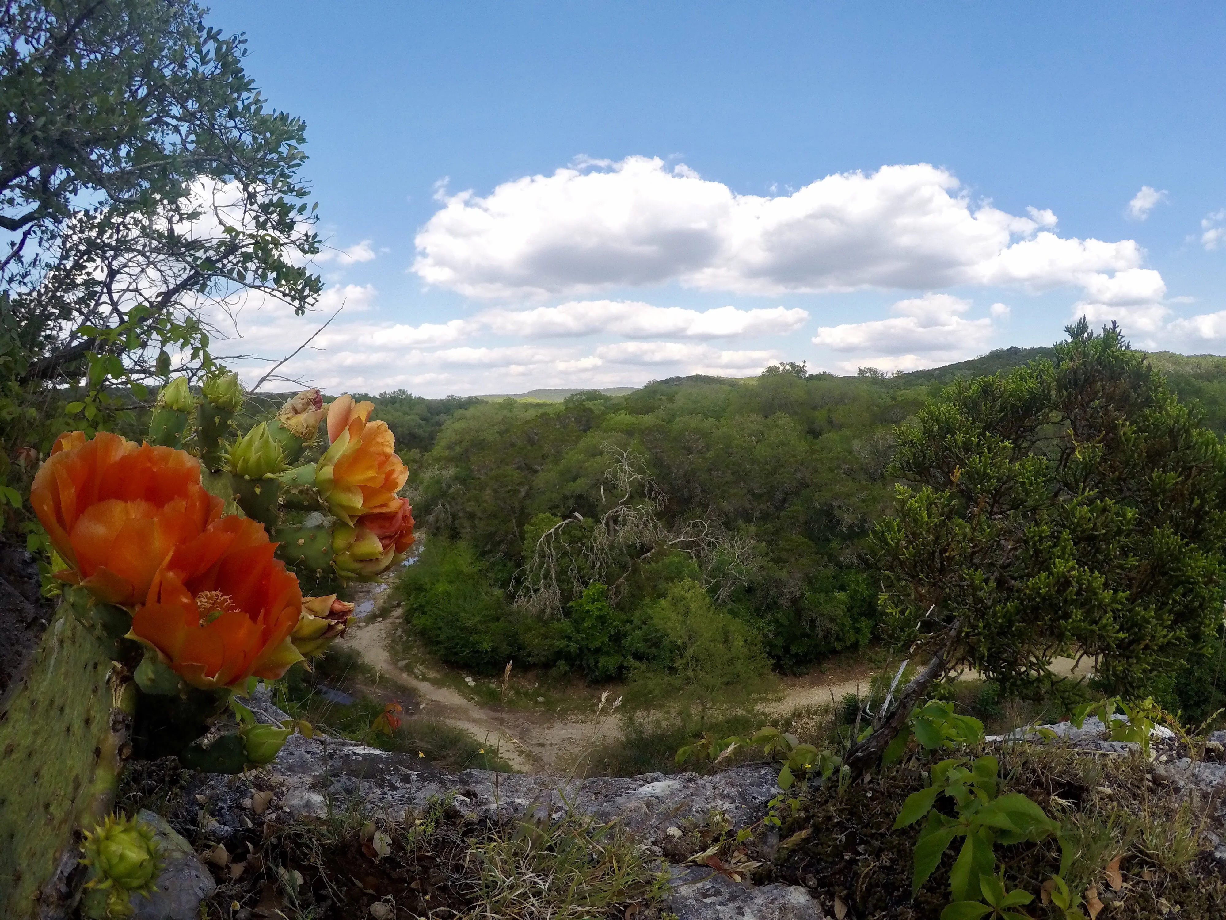 Government Canyon Loop