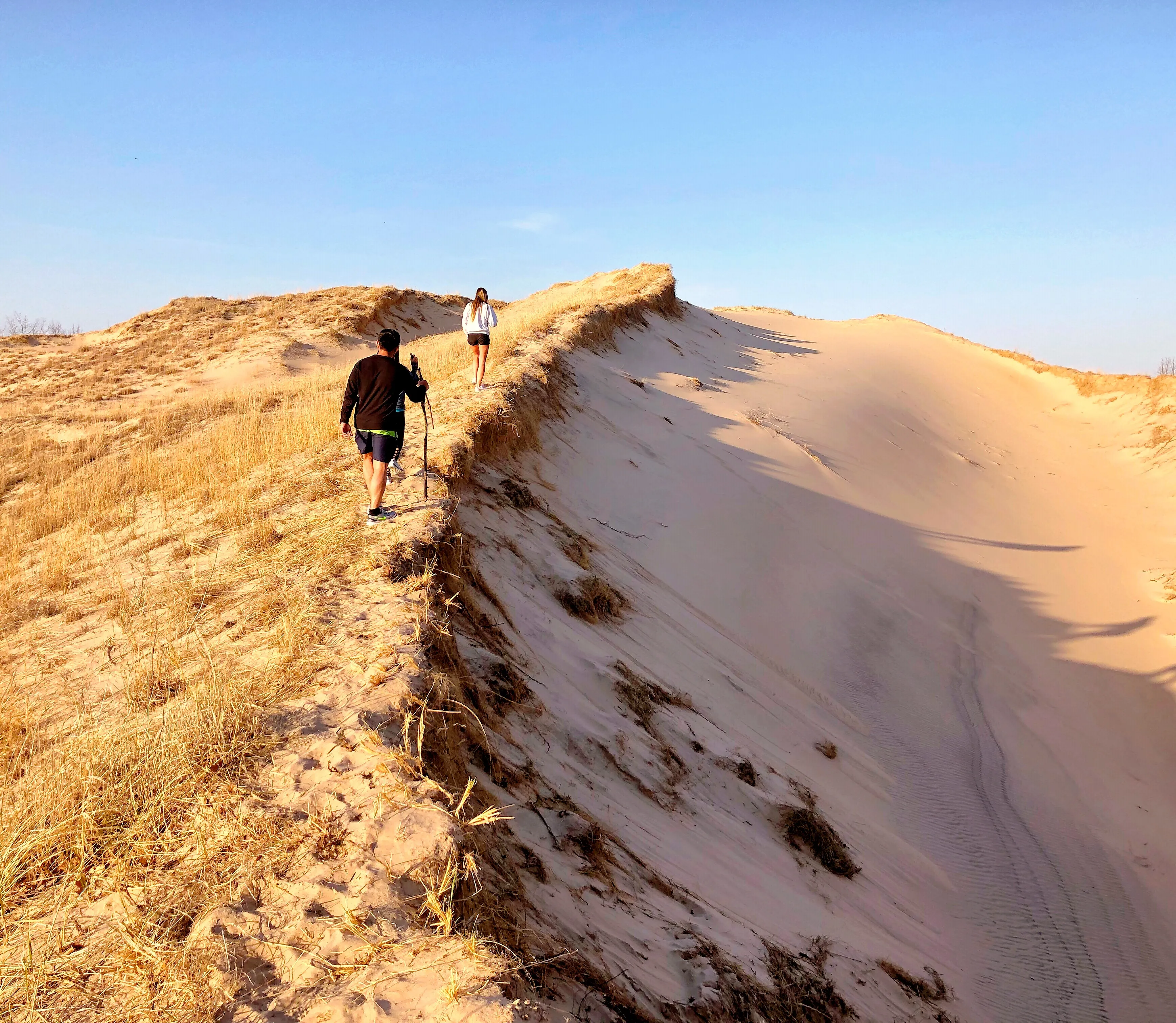 Climb Mt. Baldy Dune
