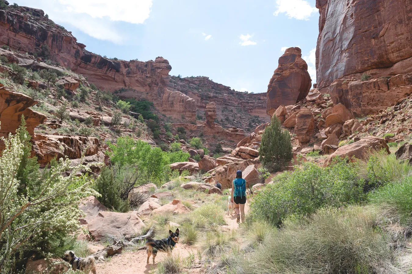Hike Hunters Canyon
