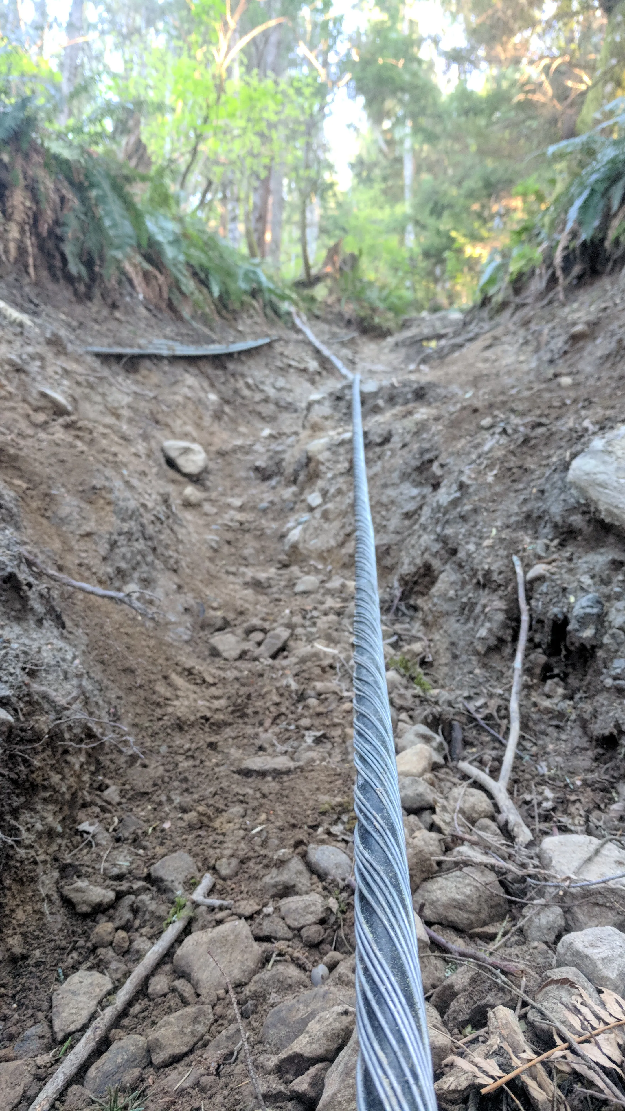 West Tiger #3 (Cable Line Trail)