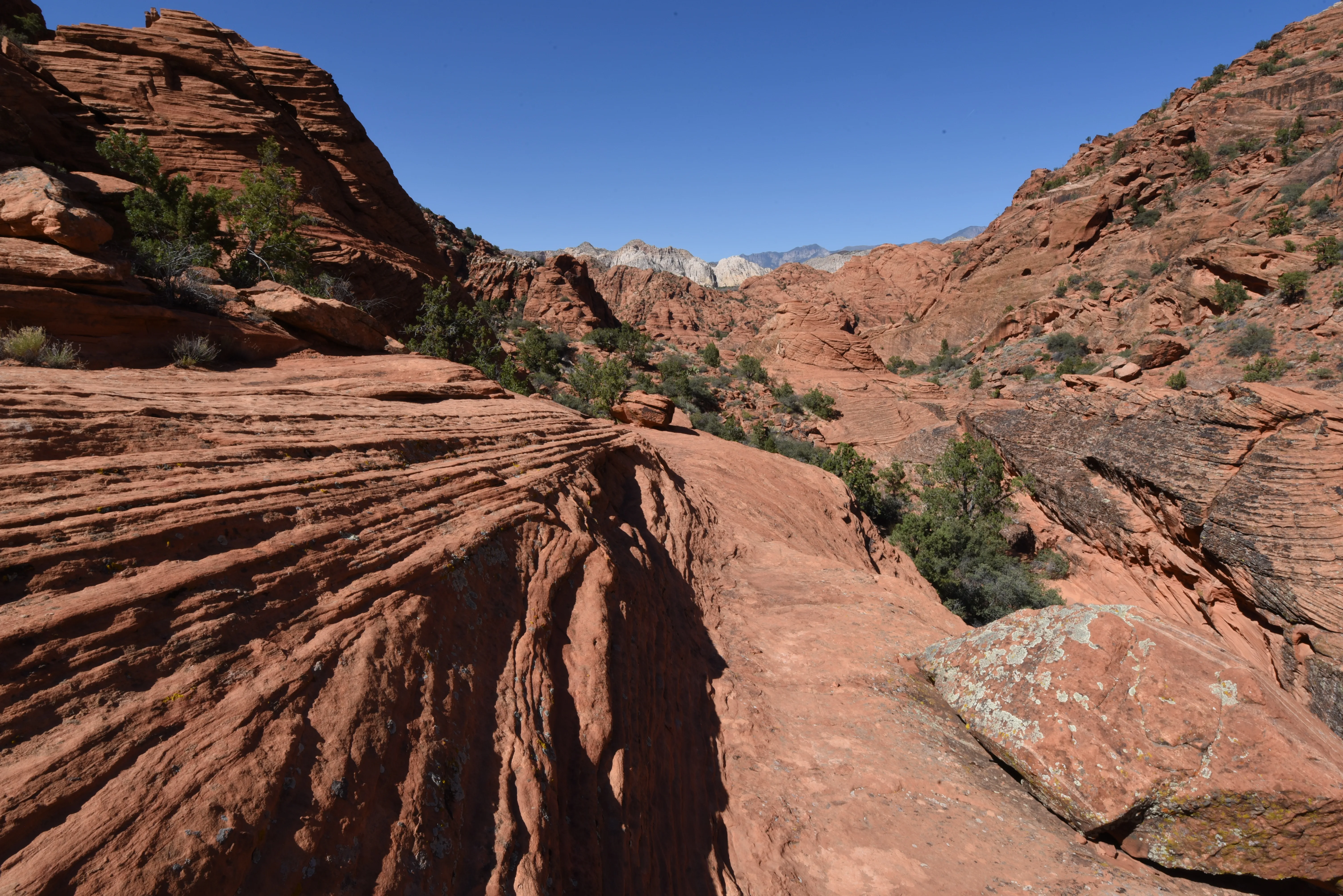 Hike Padre Canyon