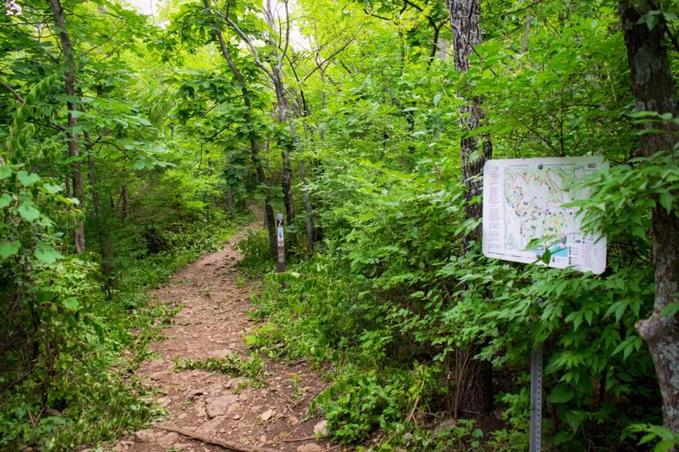 Hike the Violet and Red Loops at Shawnee Mission Park