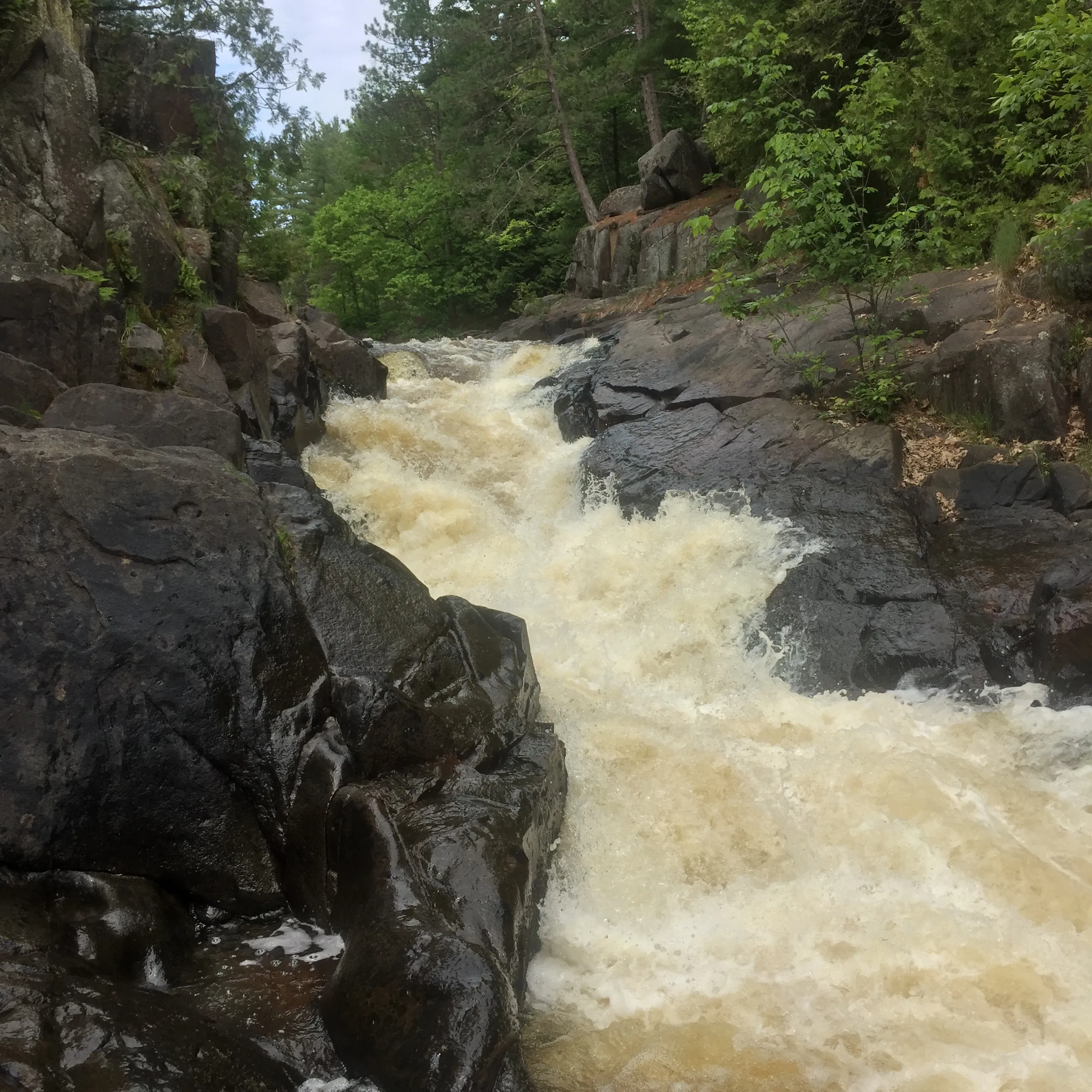Explore Dave's Falls