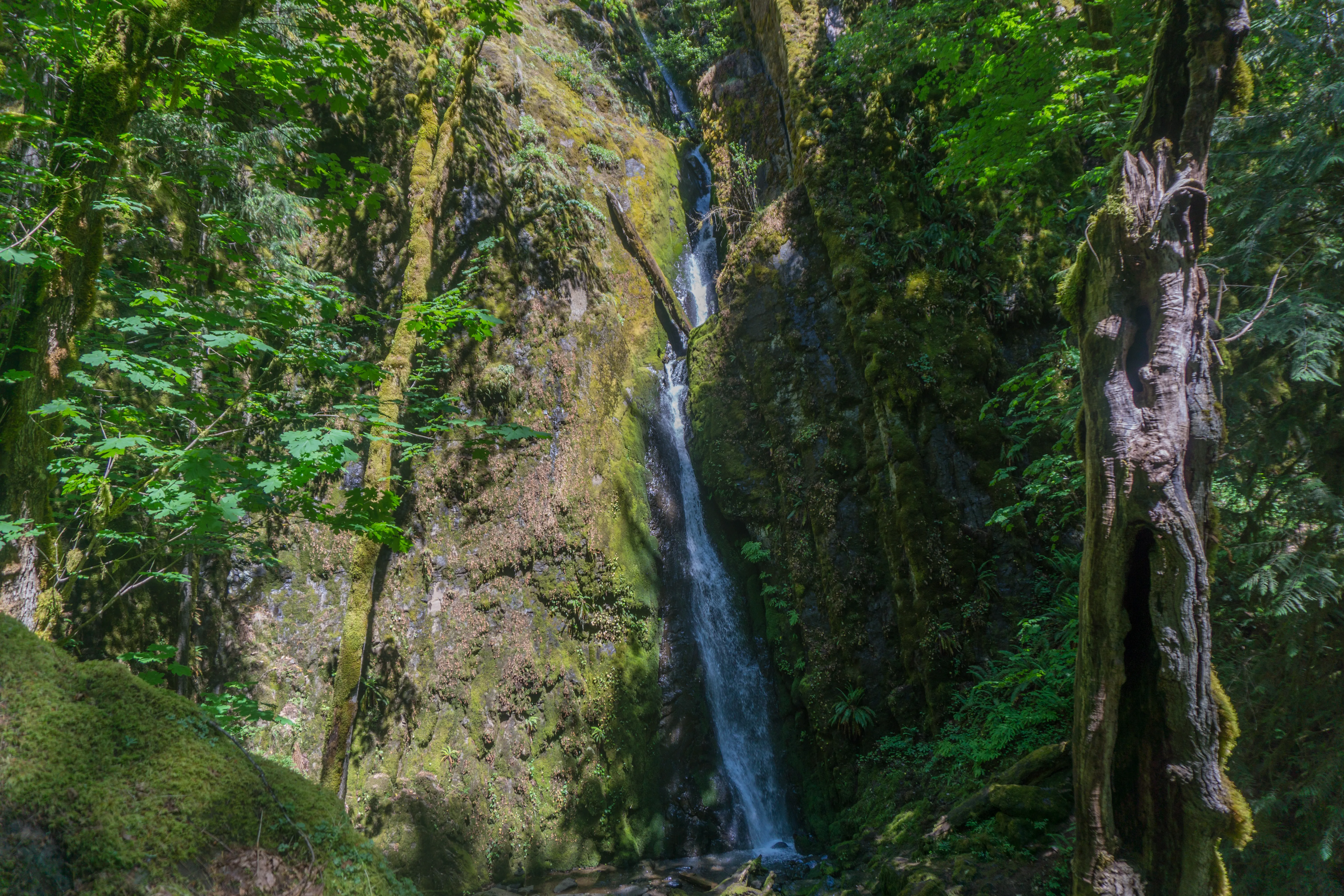 Hike to Soda Creek Falls