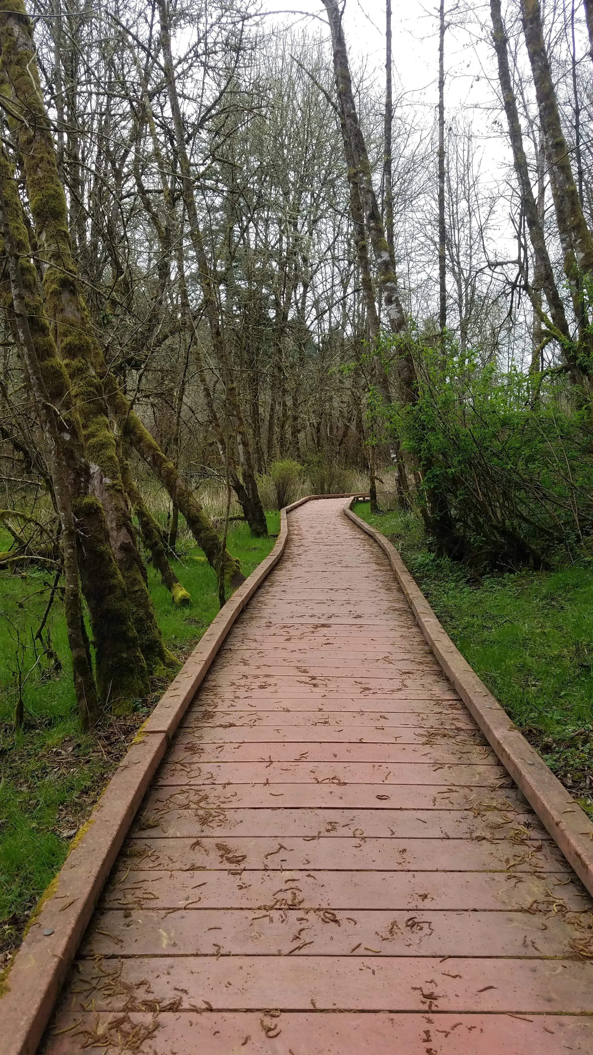 Oak and Old Wagon Trail Loop