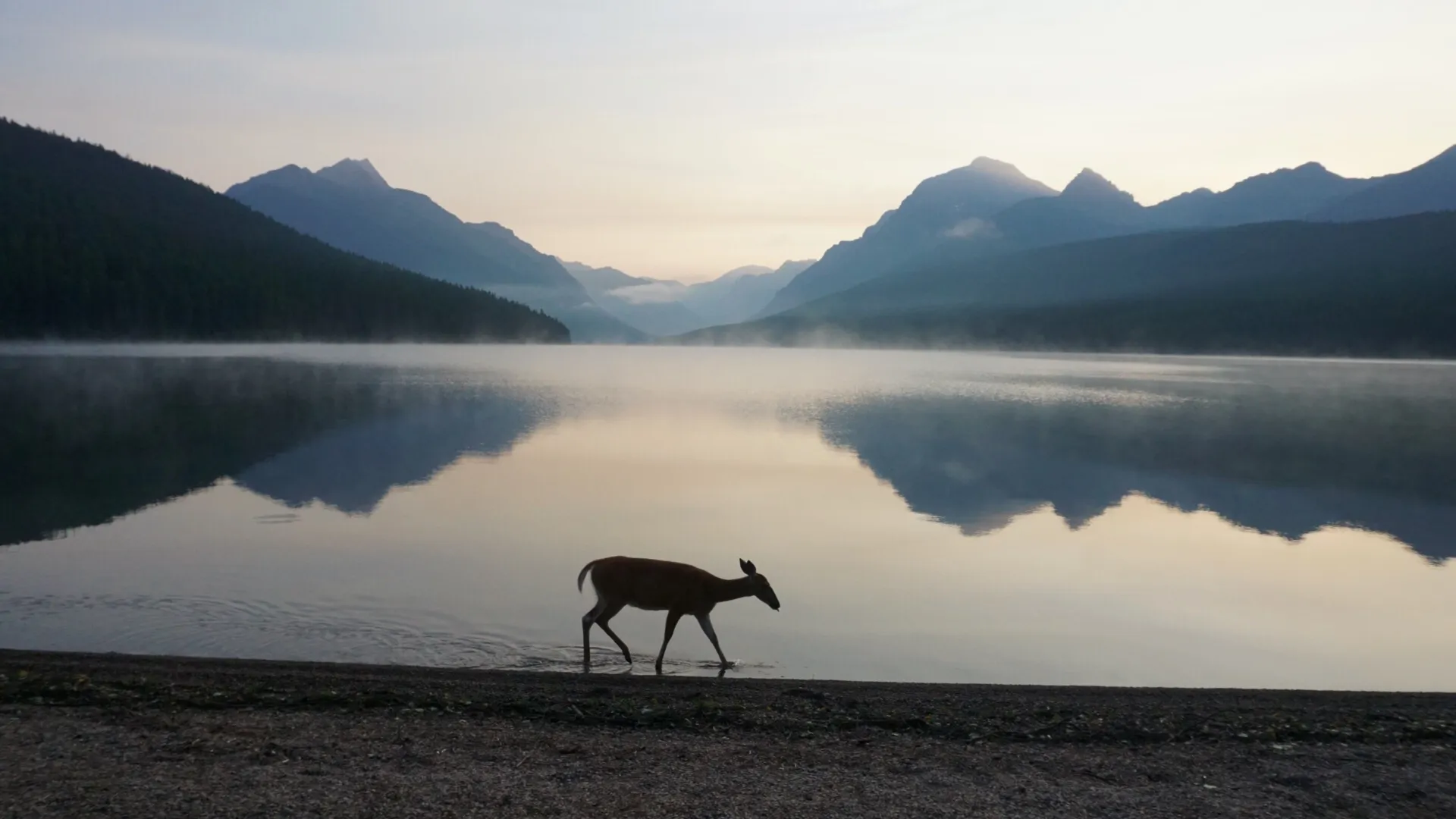Bowman Lake