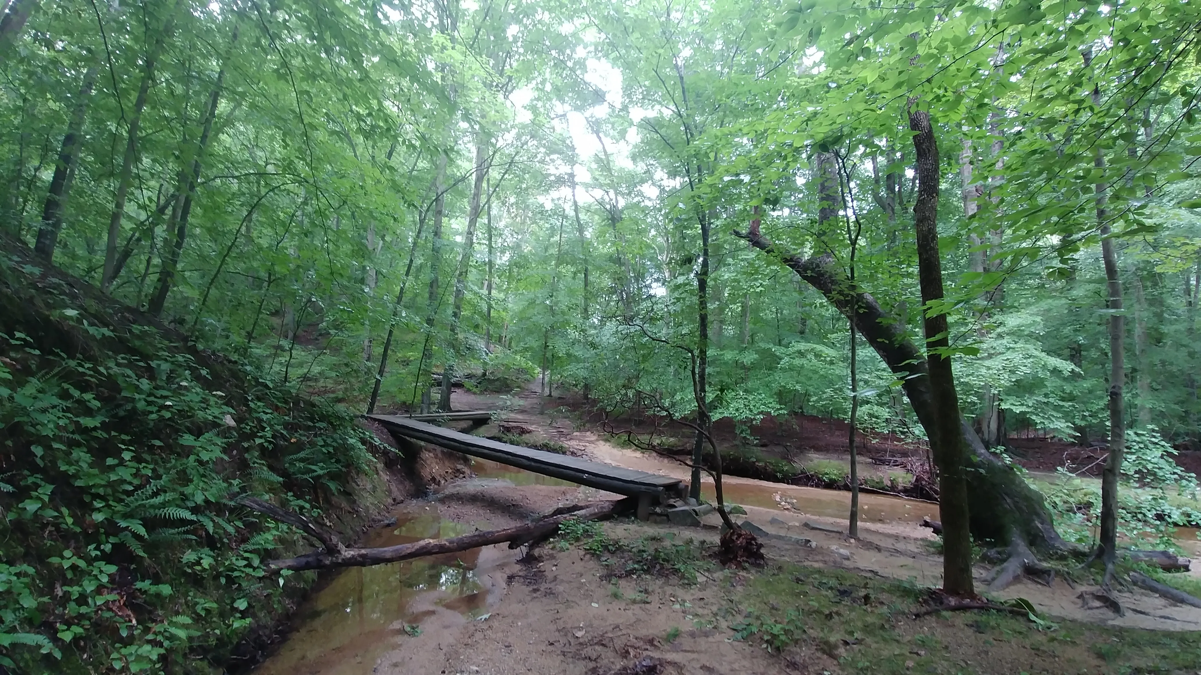 Hike the Bull Run Occoquan Trail