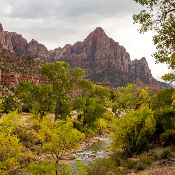 How Photography Can Connect You to the Outdoors