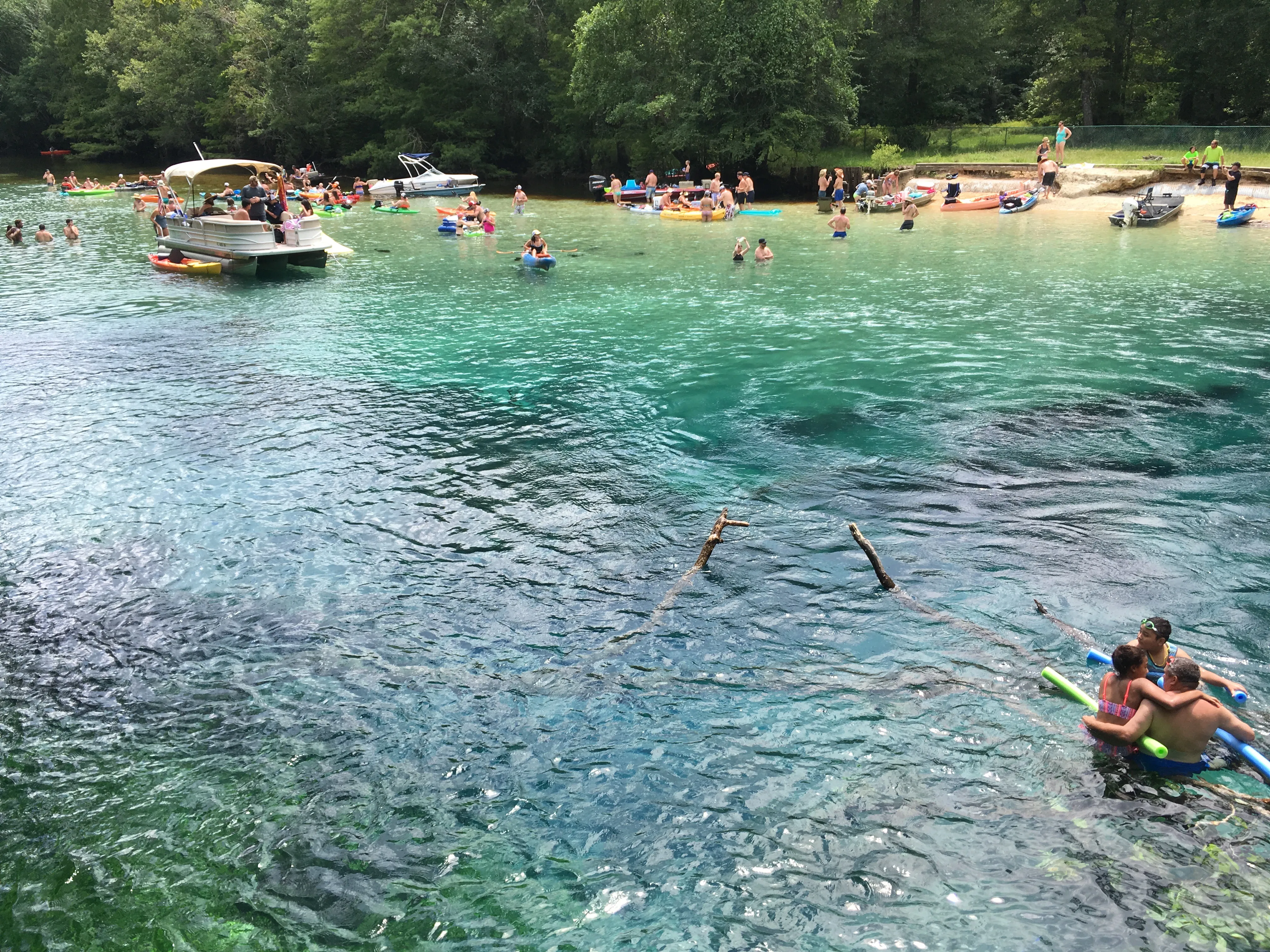 Freedive at Cypress Spring