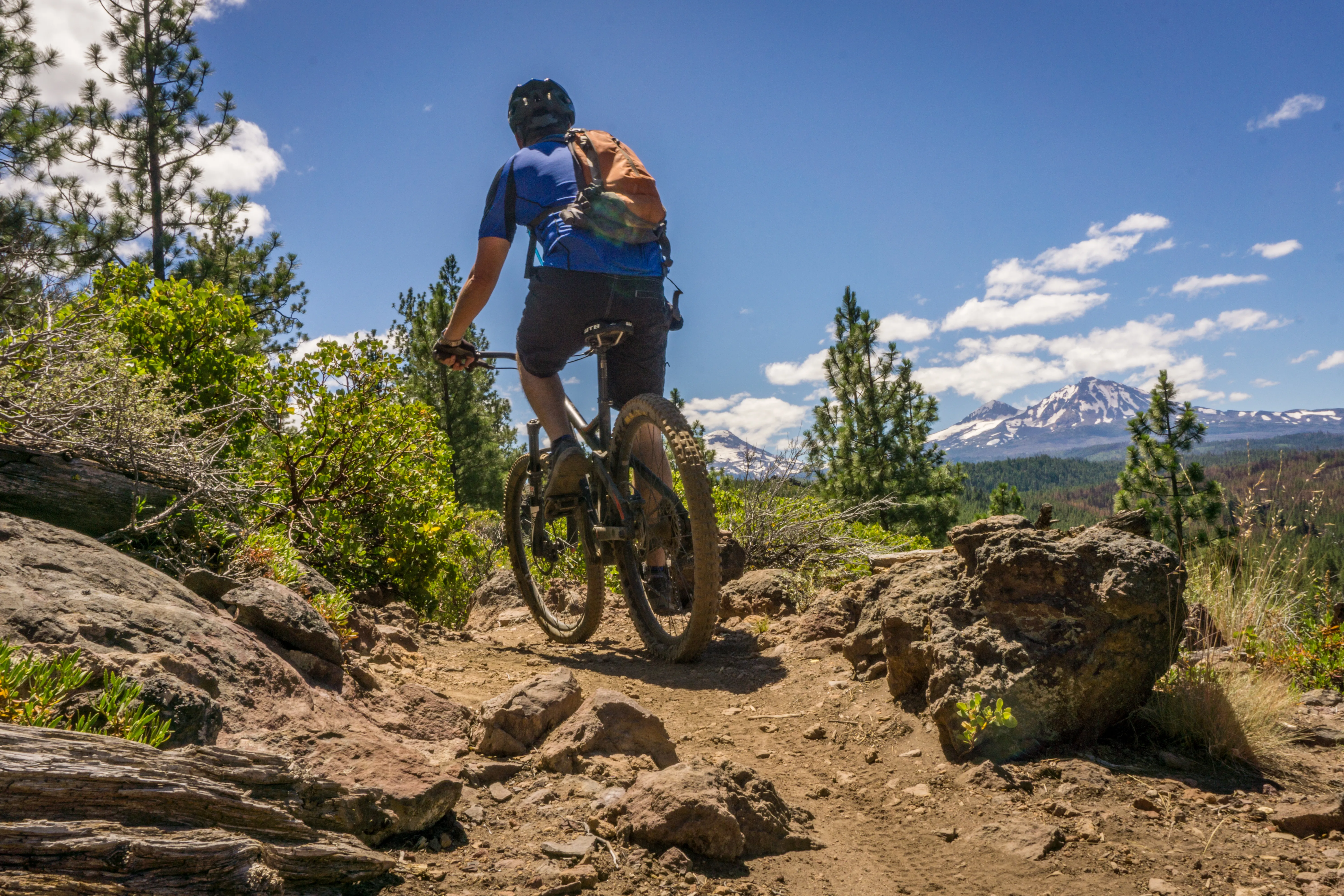 Mountain Bike the Peterson Ridge Trail
