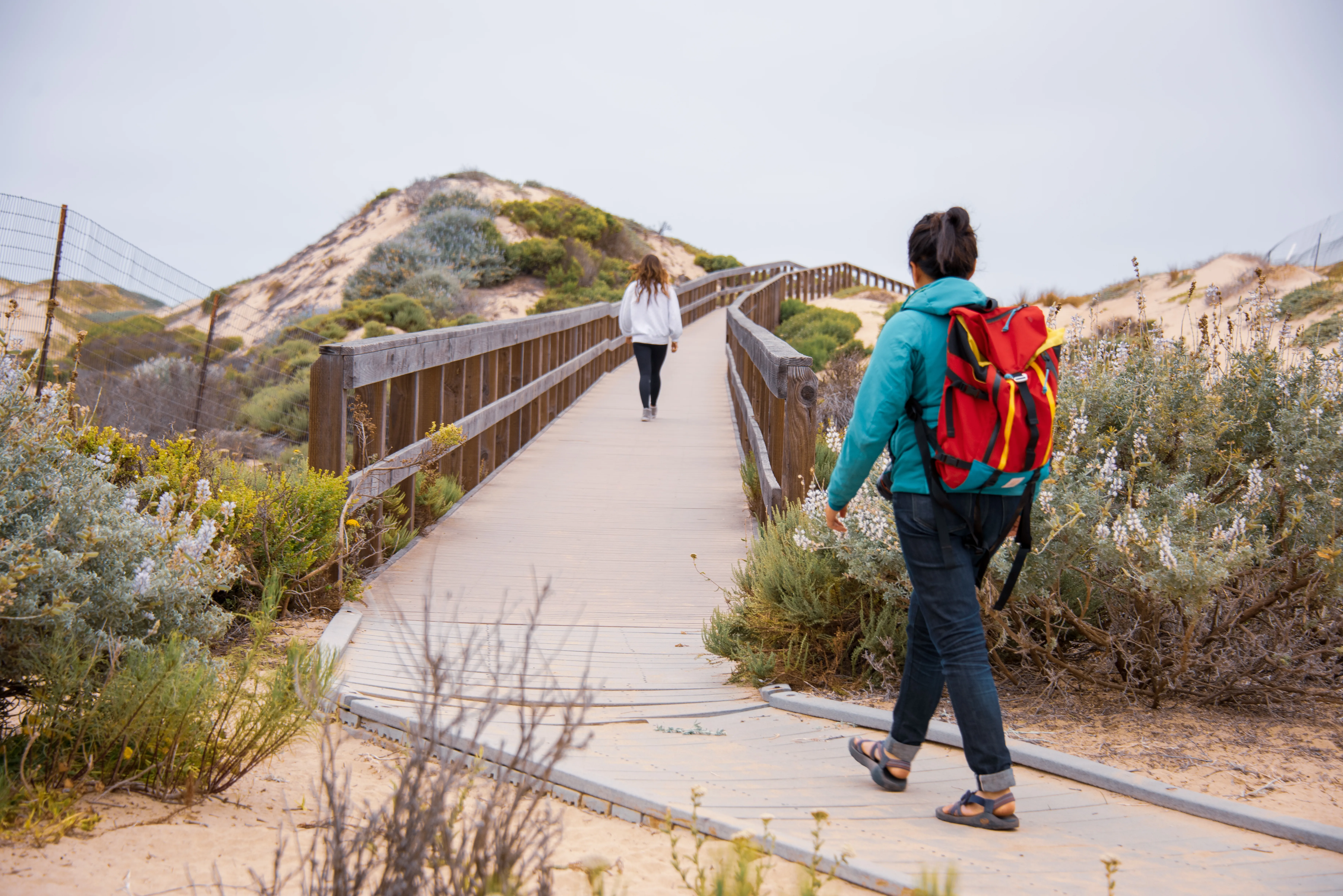 Explore the Guadalupe-Nipomo Dunes