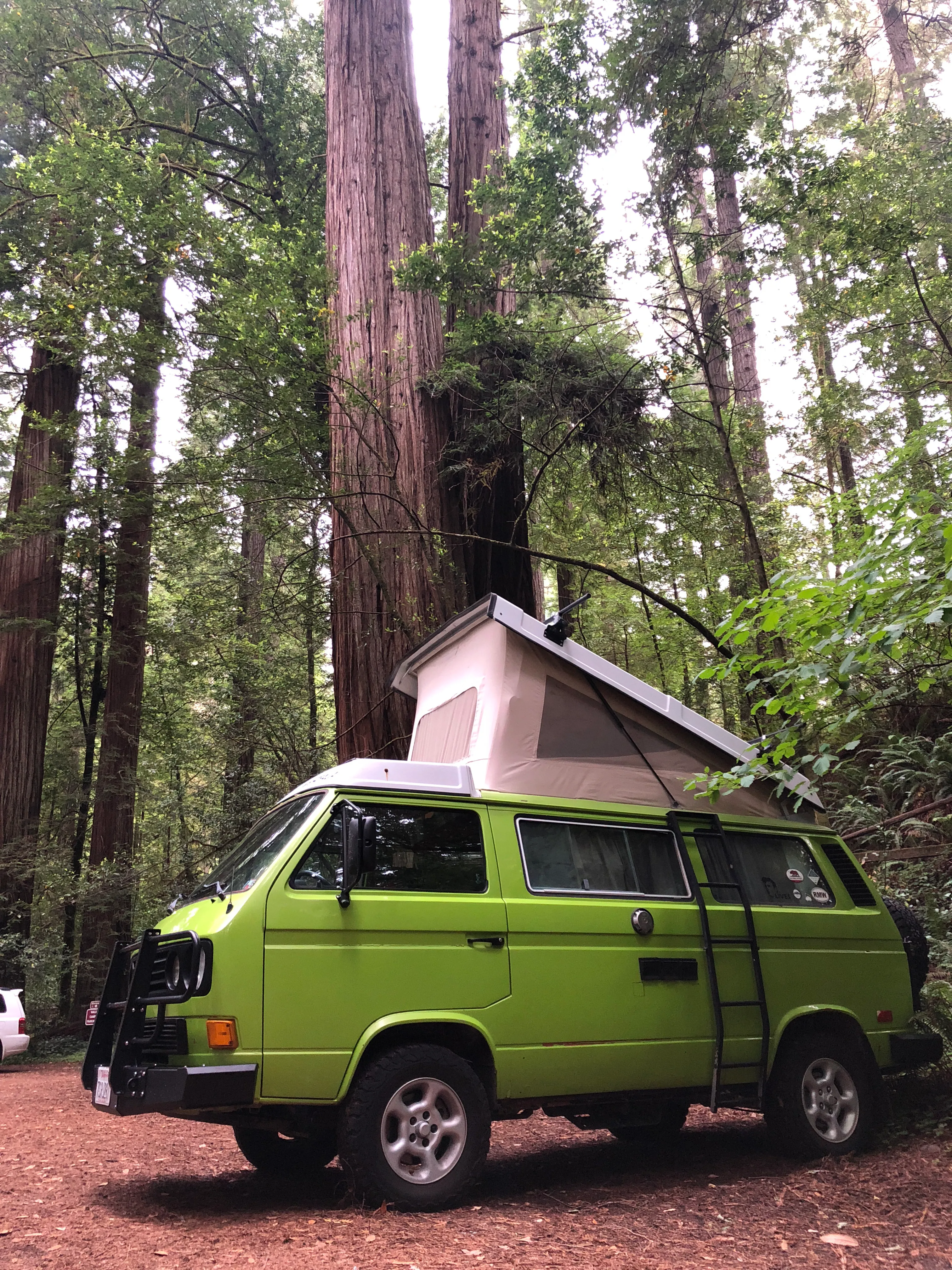 Camp at Jedediah Smith Redwoods Campground