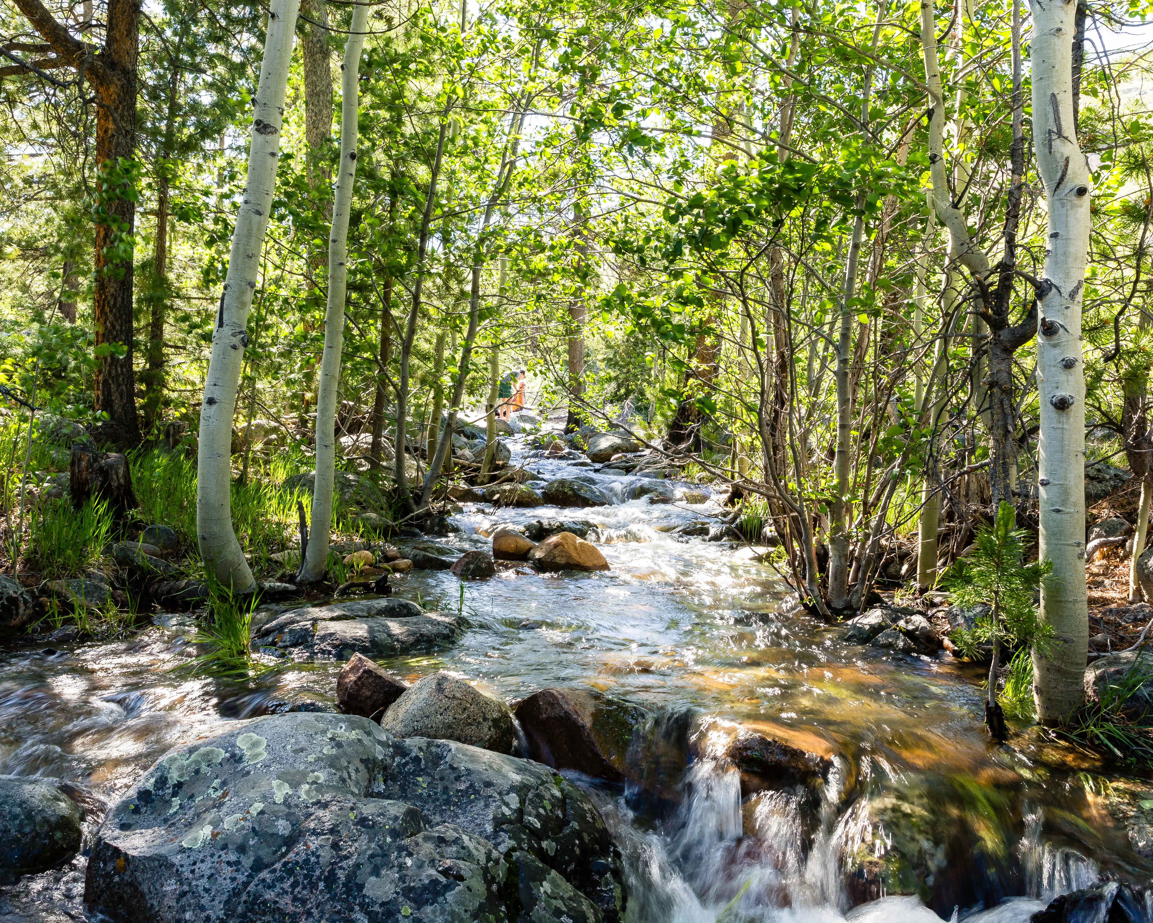 Hike the Sinks Canyon Trail