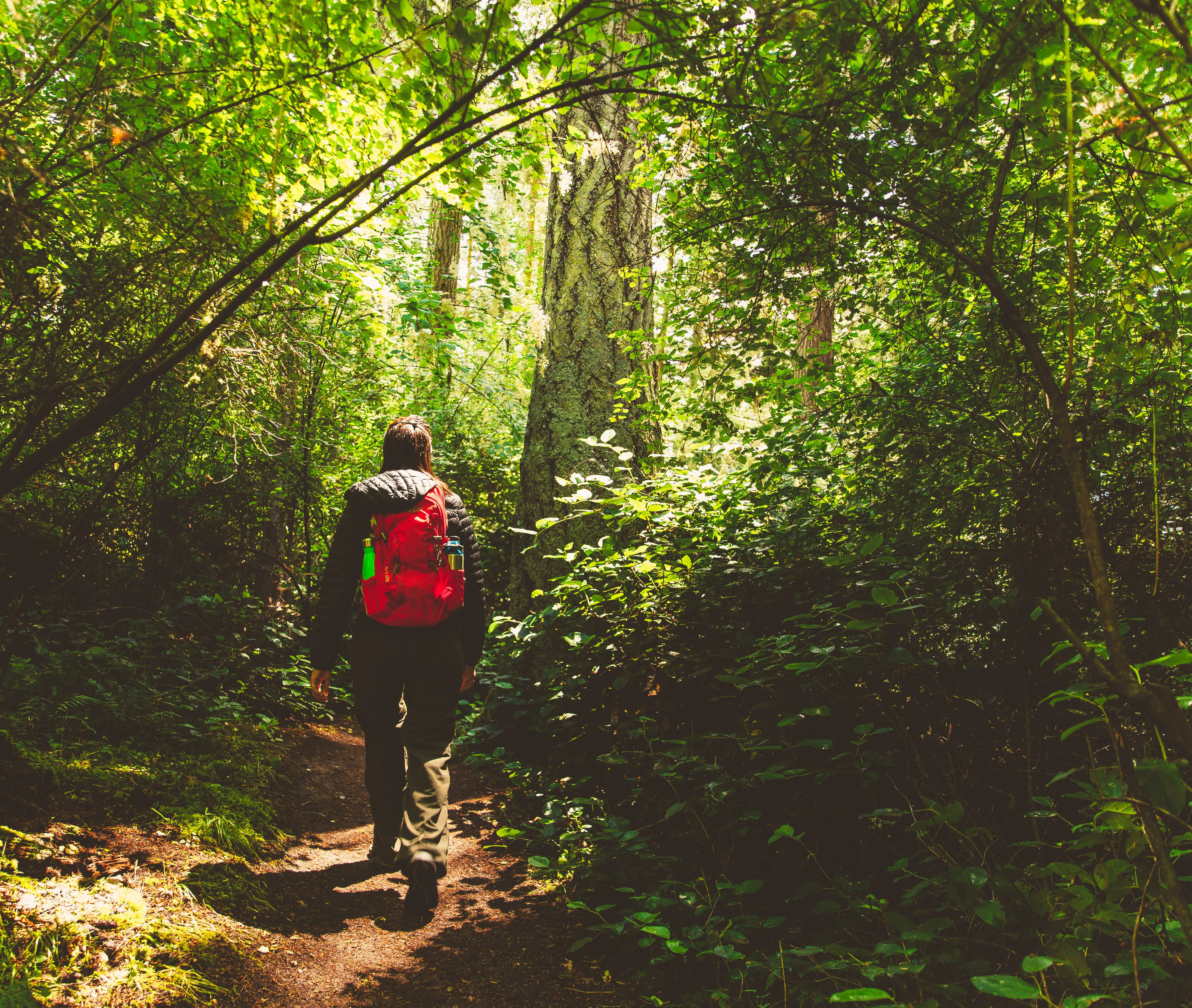 Hike the Sound View Trail