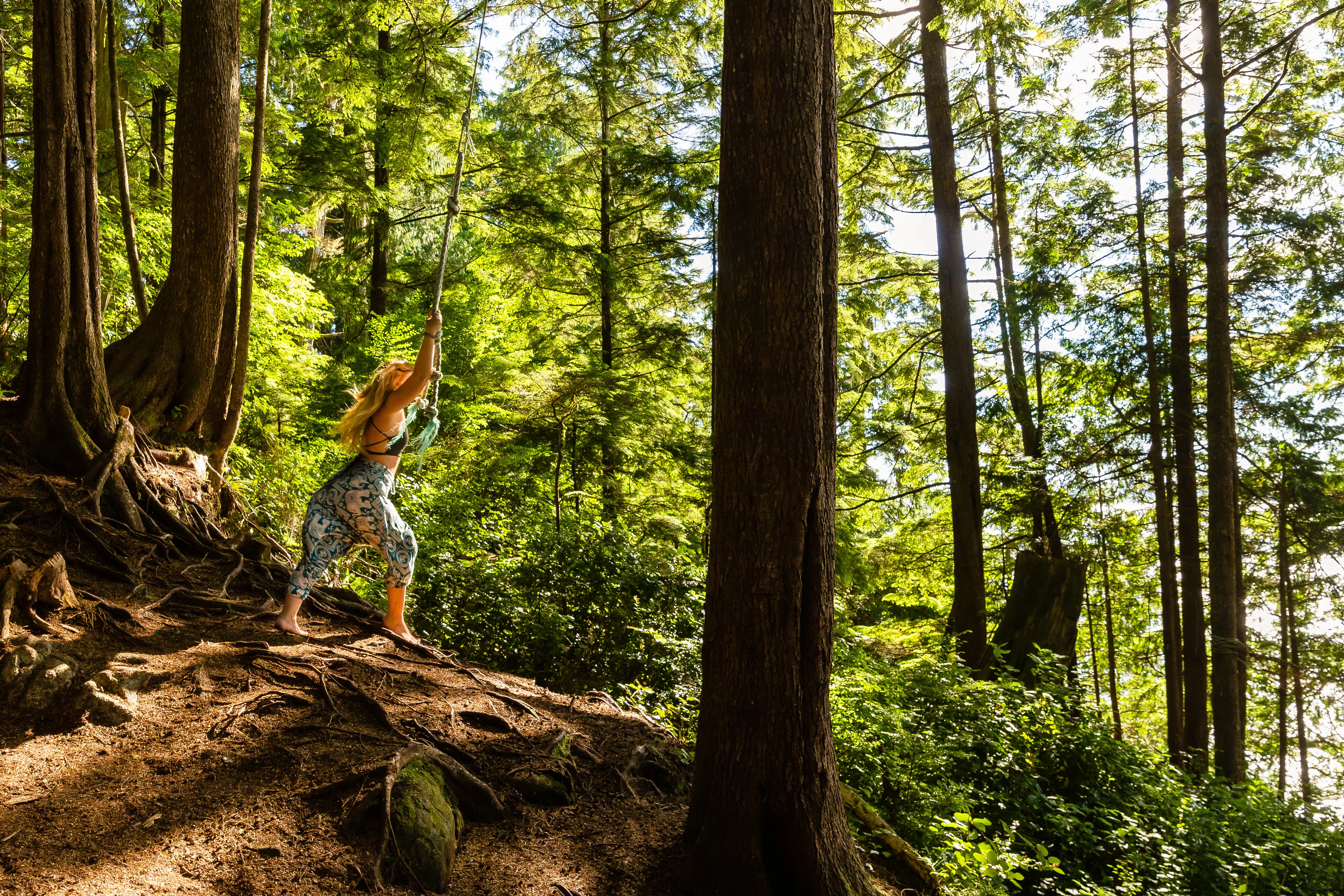Swing on the West Bamfield Rope Swing