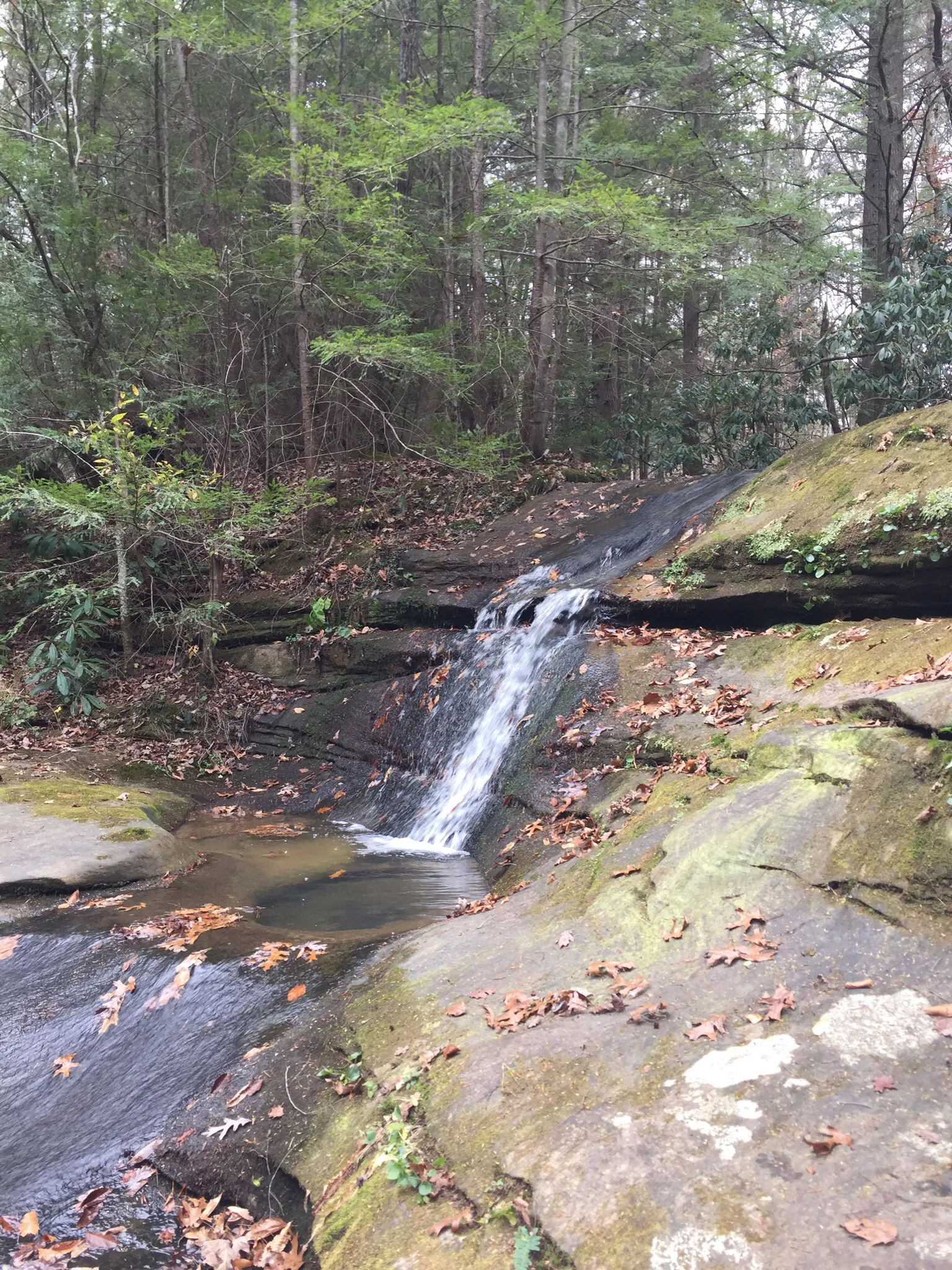 Hike to Lick Falls
