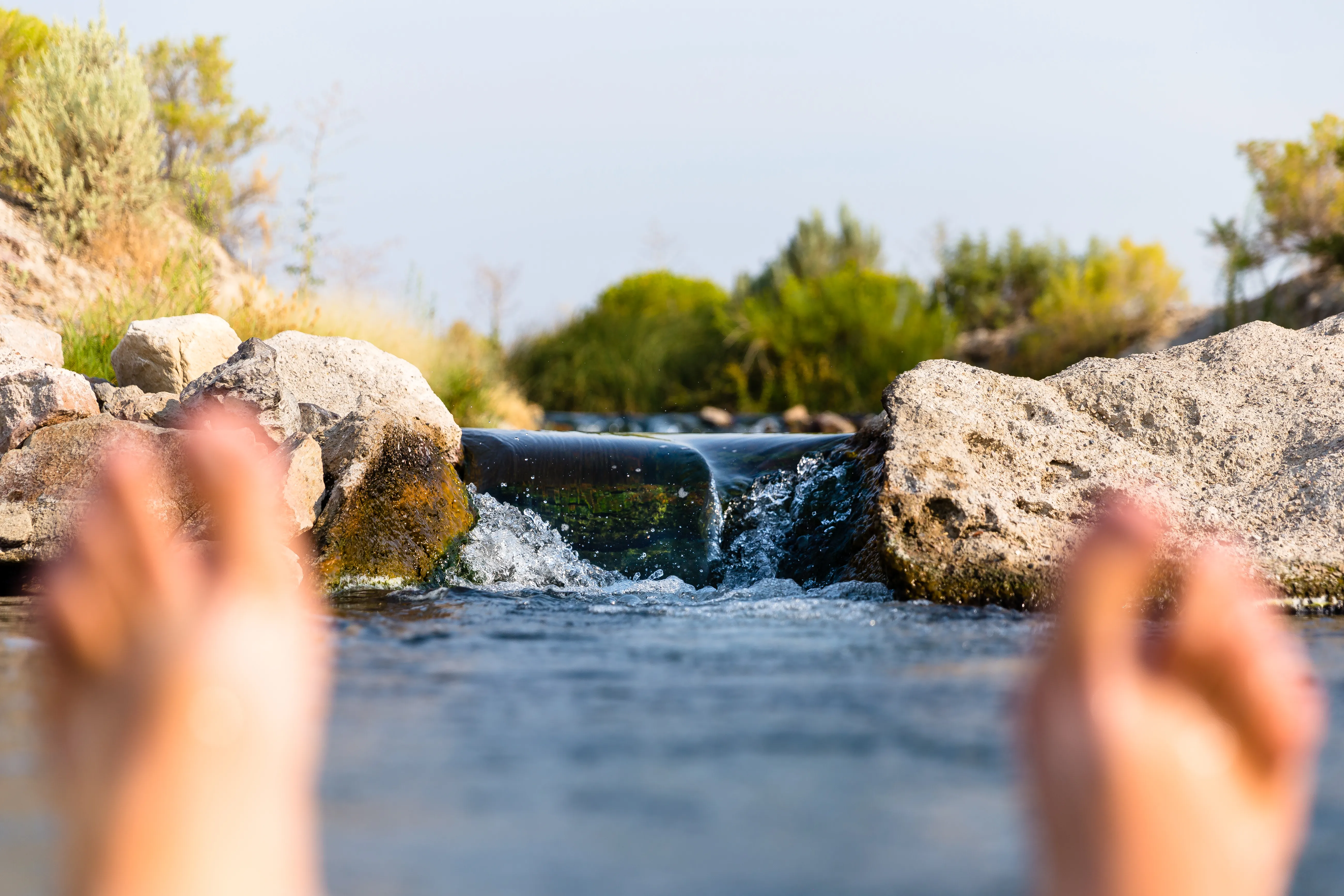 Soak in Bog Hot Springs