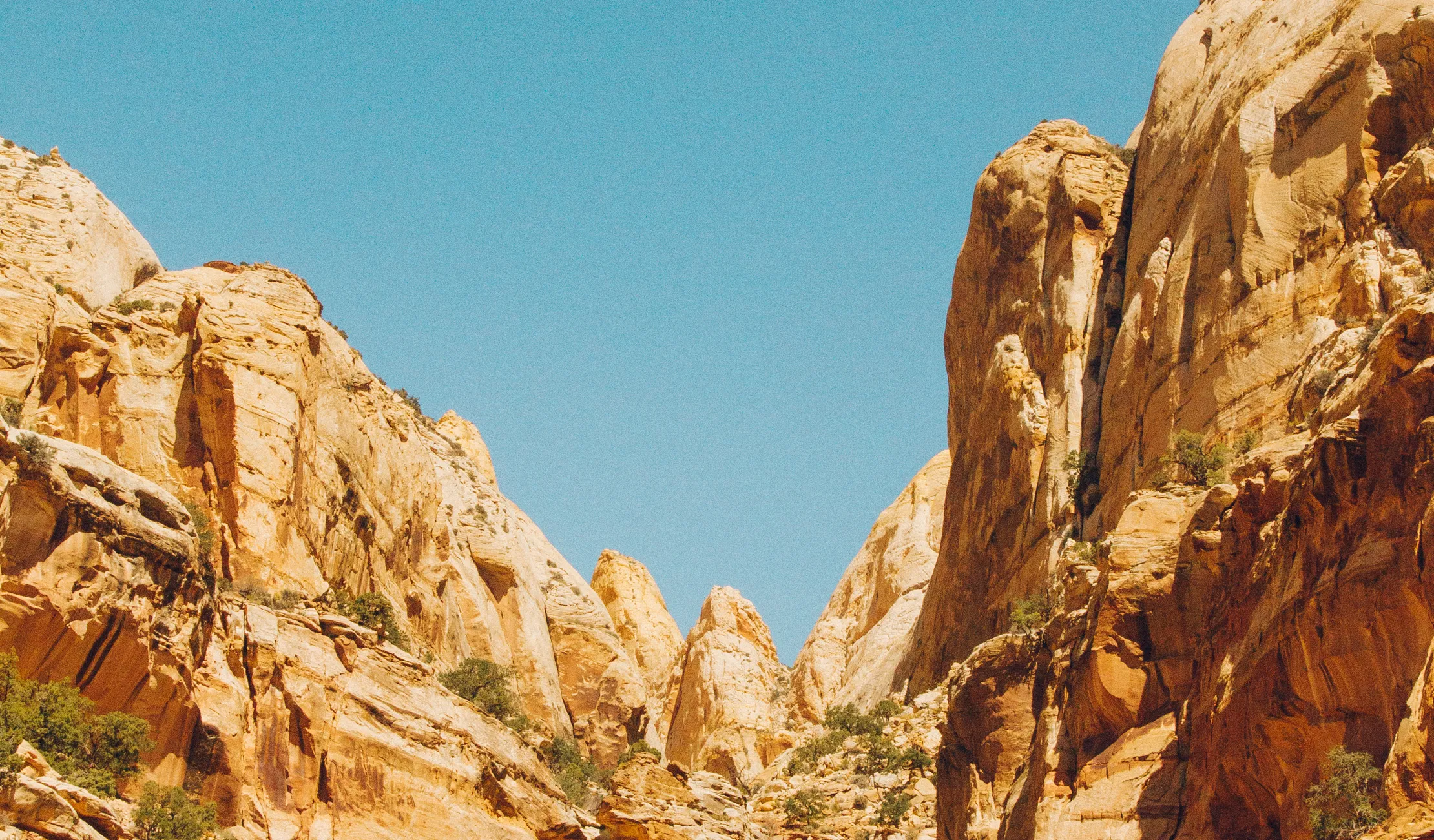 Drive the Scenic Drive in Capitol Reef National Park