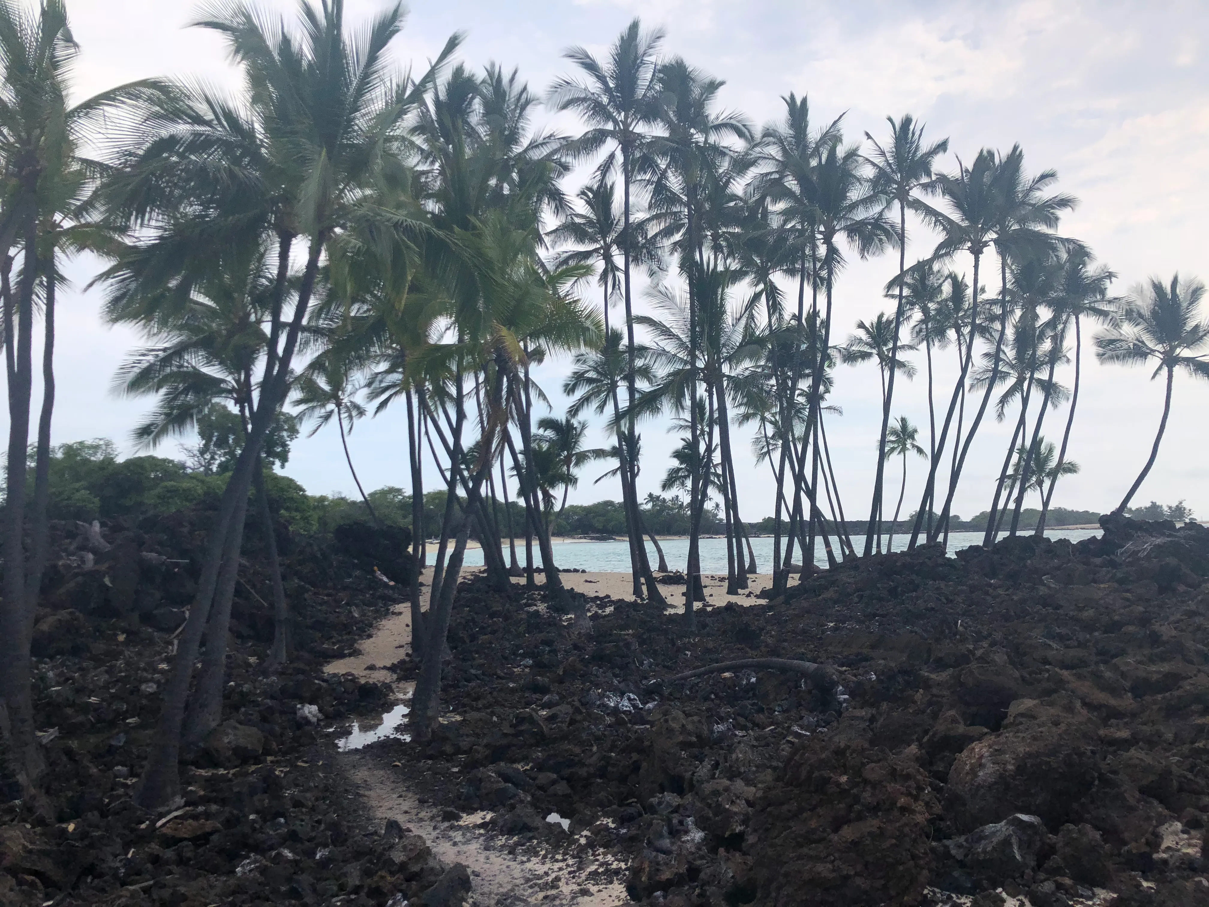 Hike to Makalawena Beach