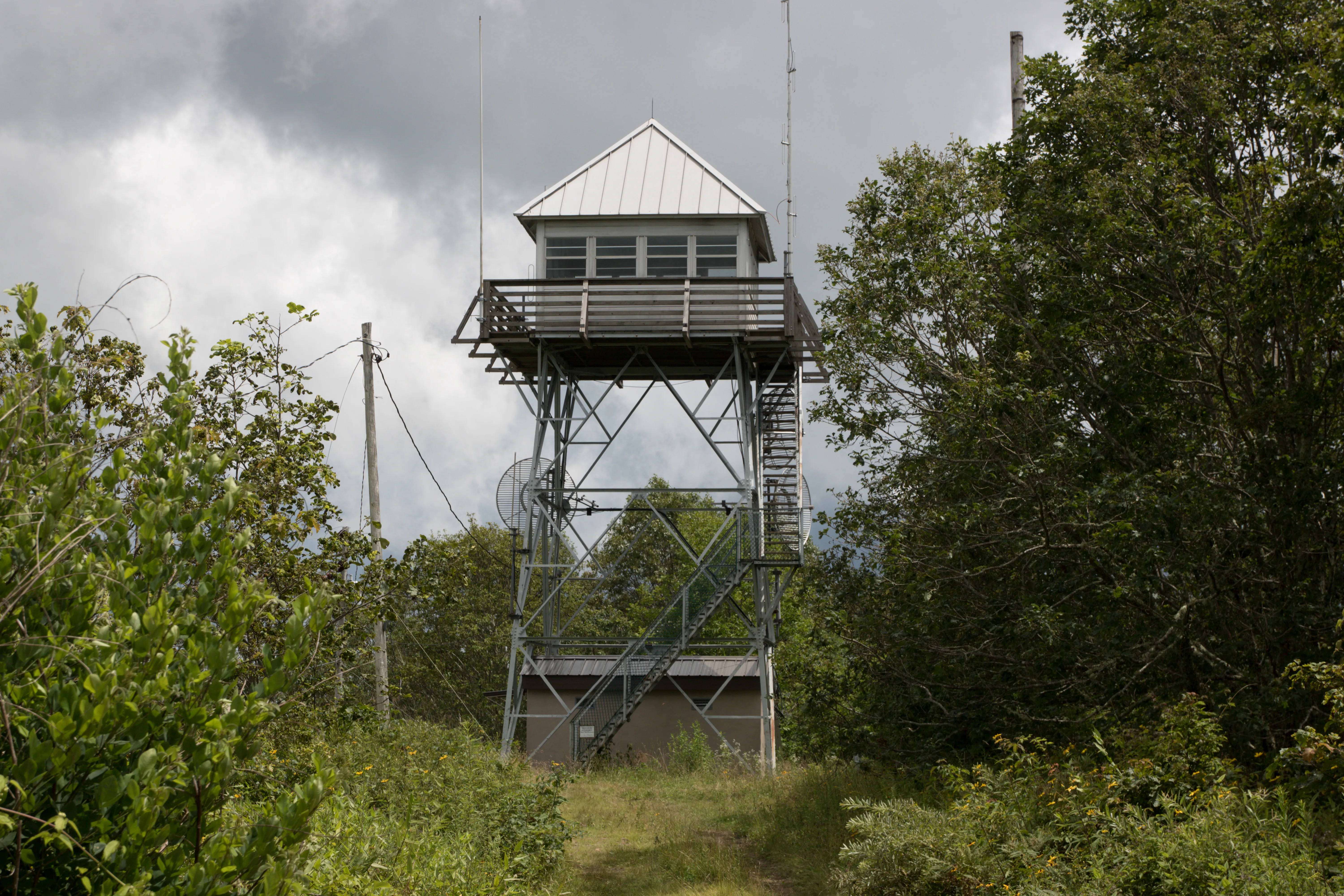 Hike to Cowee Bald Fire Tower