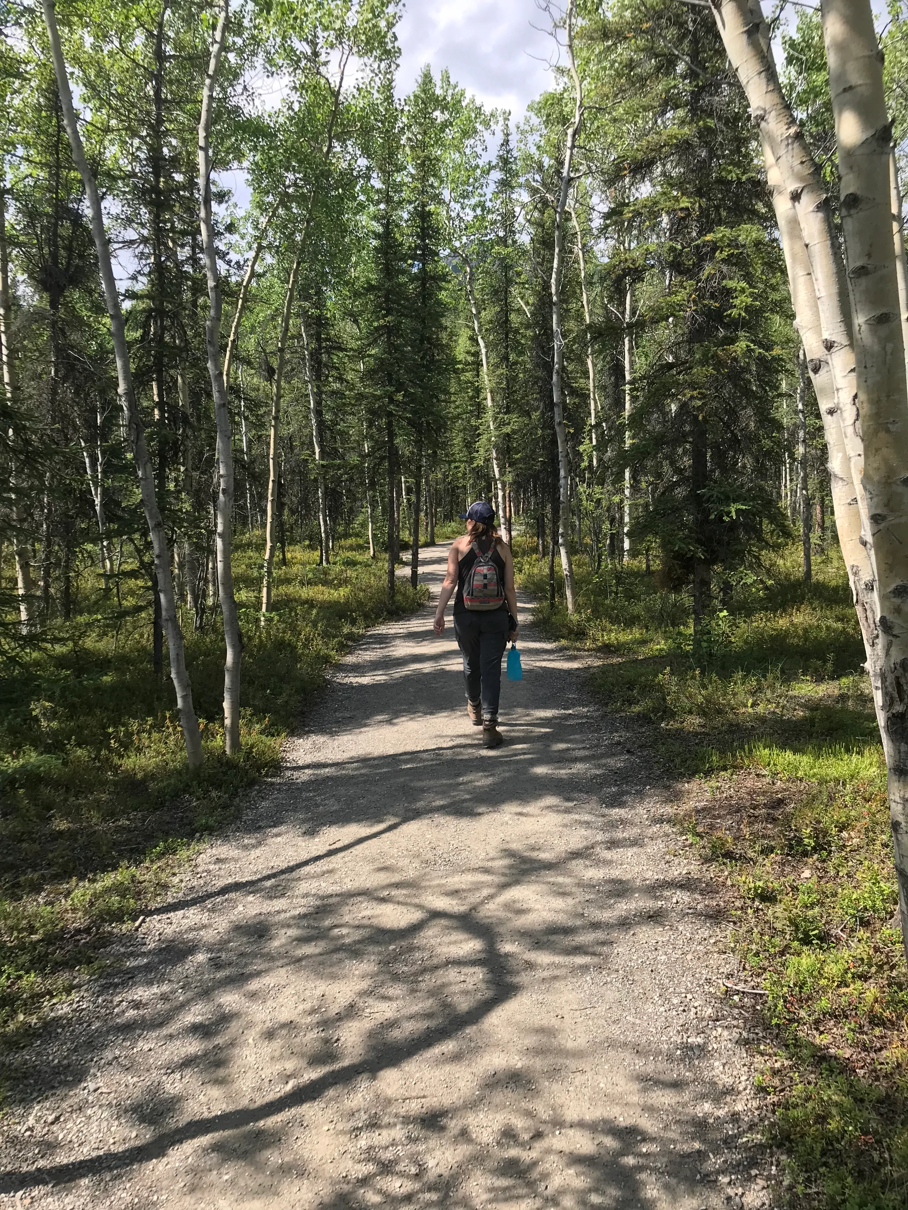 Hike the Taiga Trail 